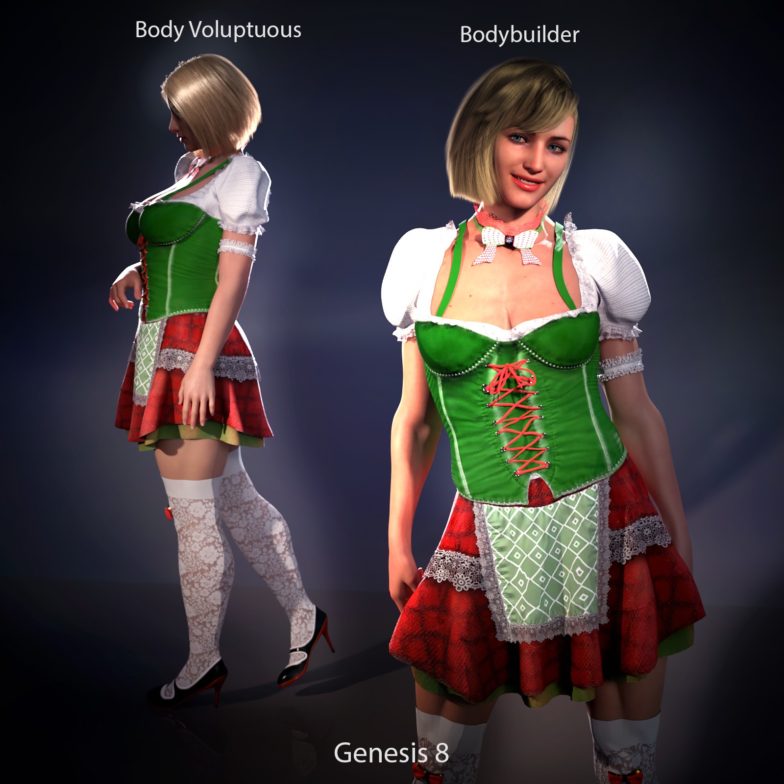 Tavern Maid Dirndl for Genesis 8.1 Female and Genesis 9 by N/A