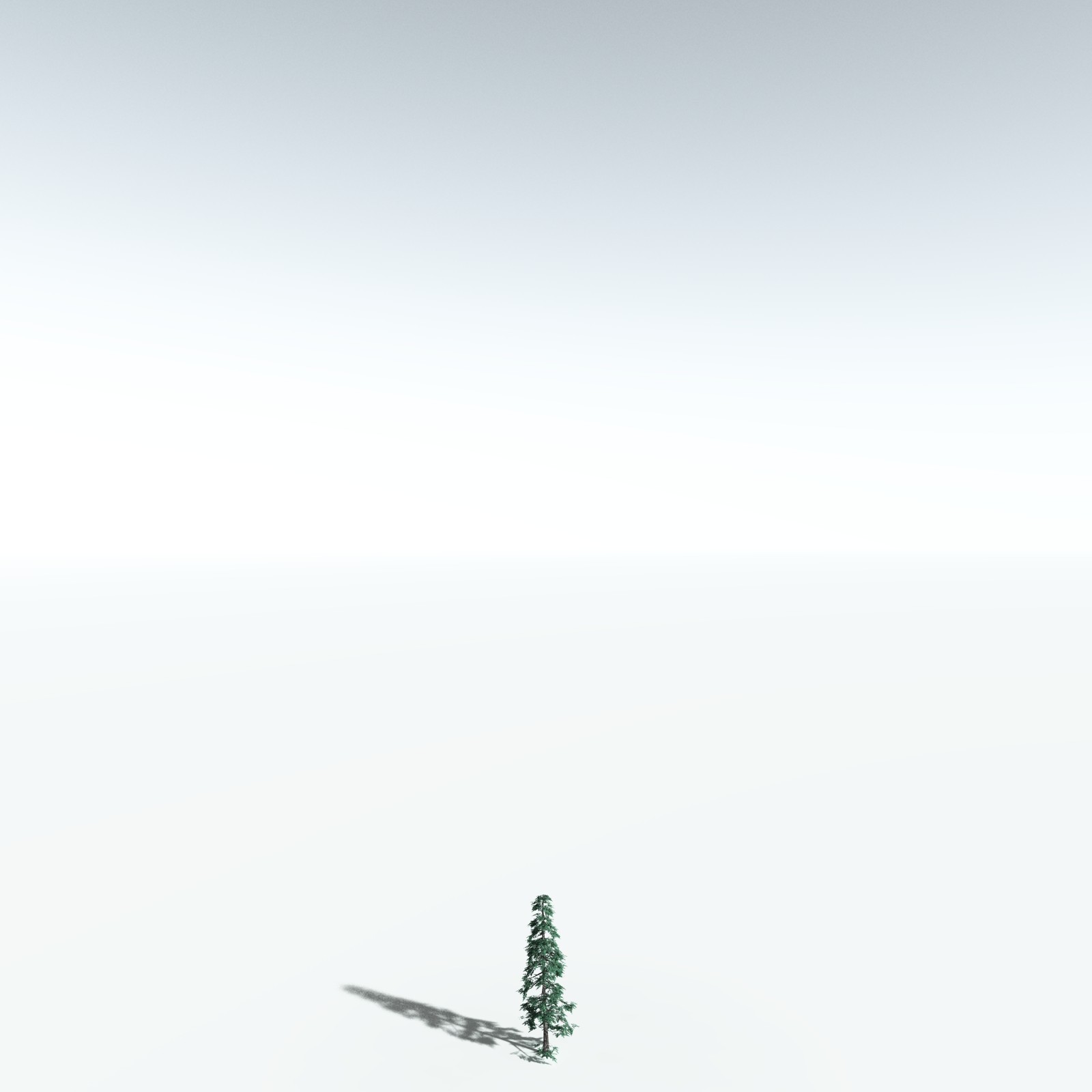 EVERYPlant White Fir for Vue by N/A