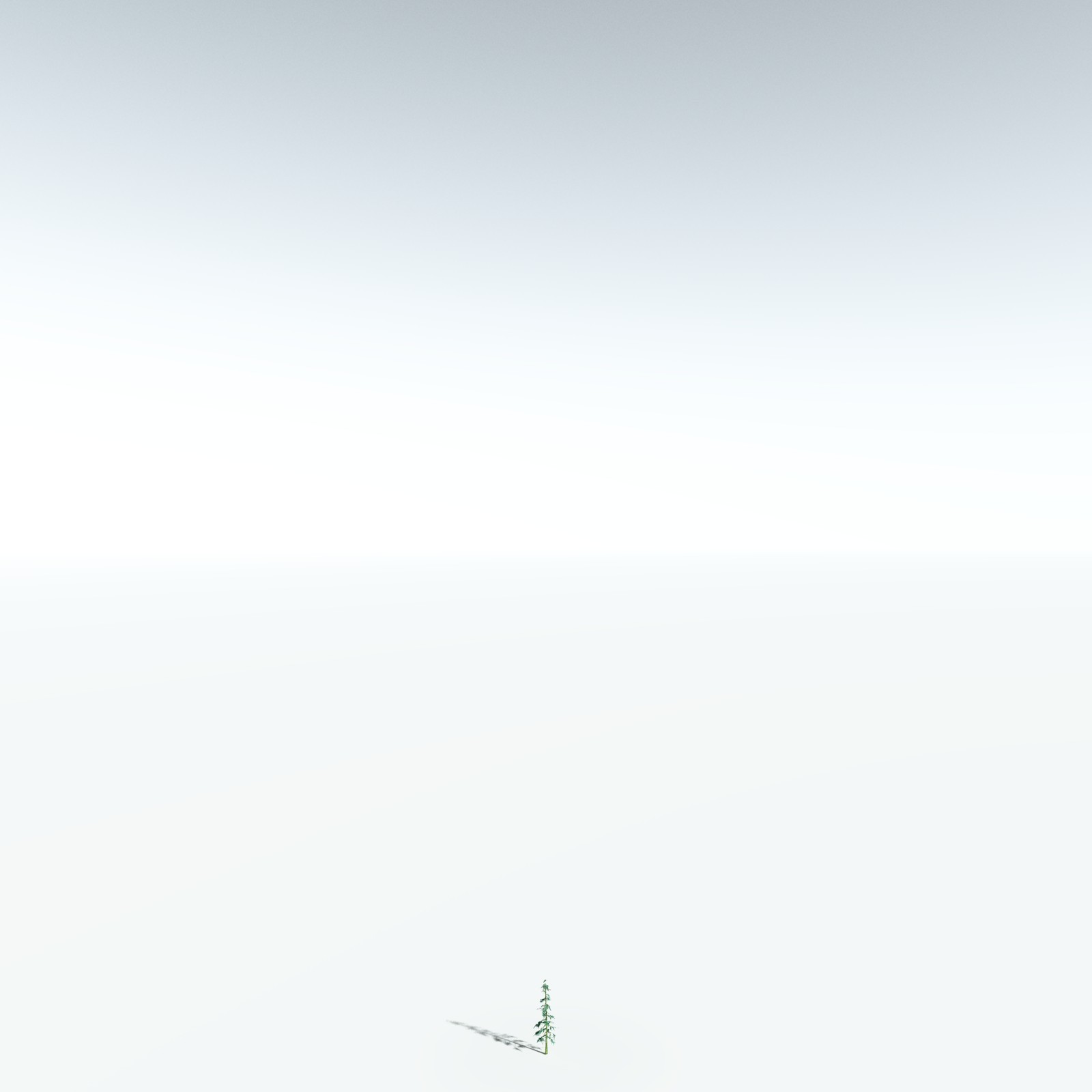 EVERYPlant White Fir for Vue by N/A