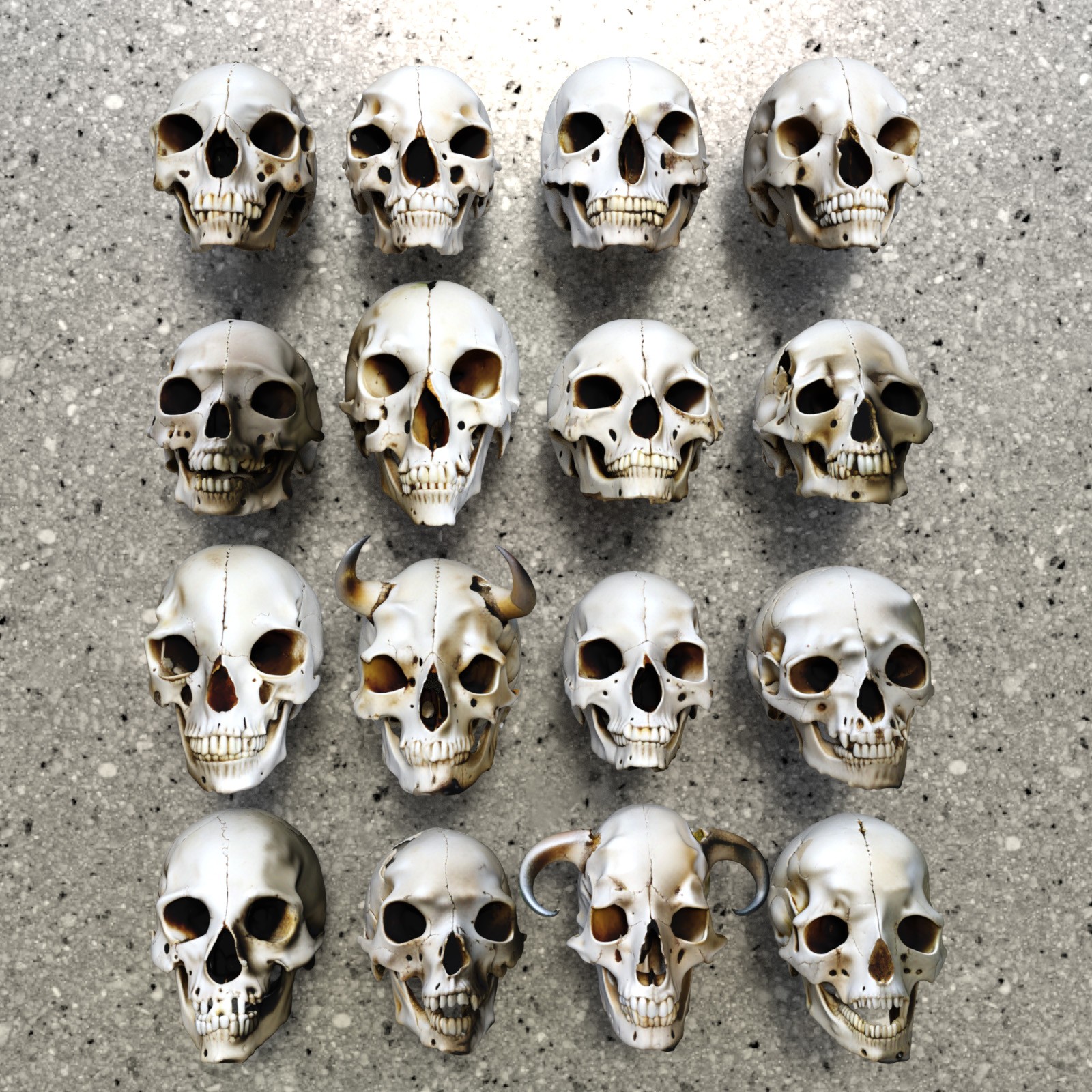 Odd Creatures Skulls by N/A