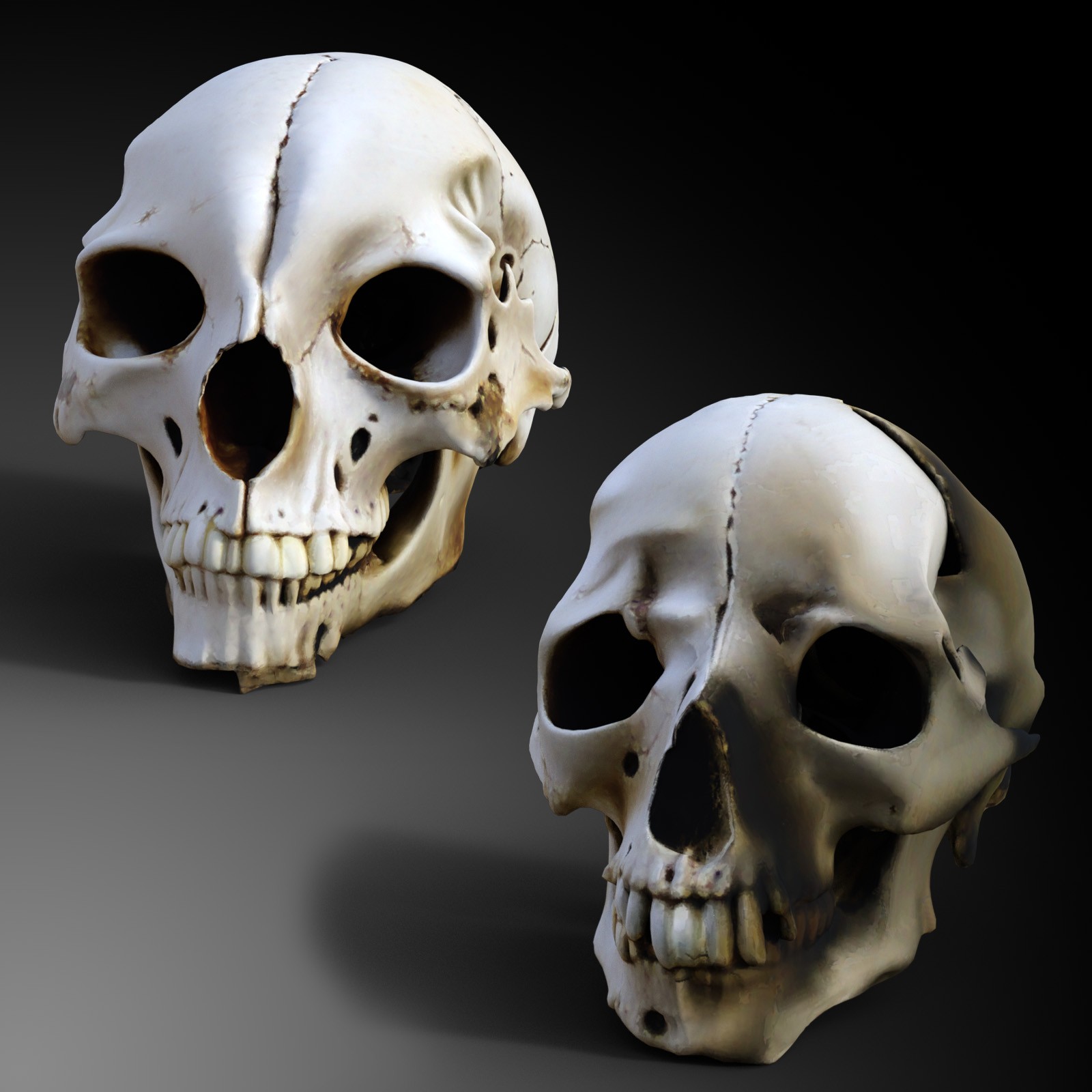 Odd Creatures Skulls by N/A