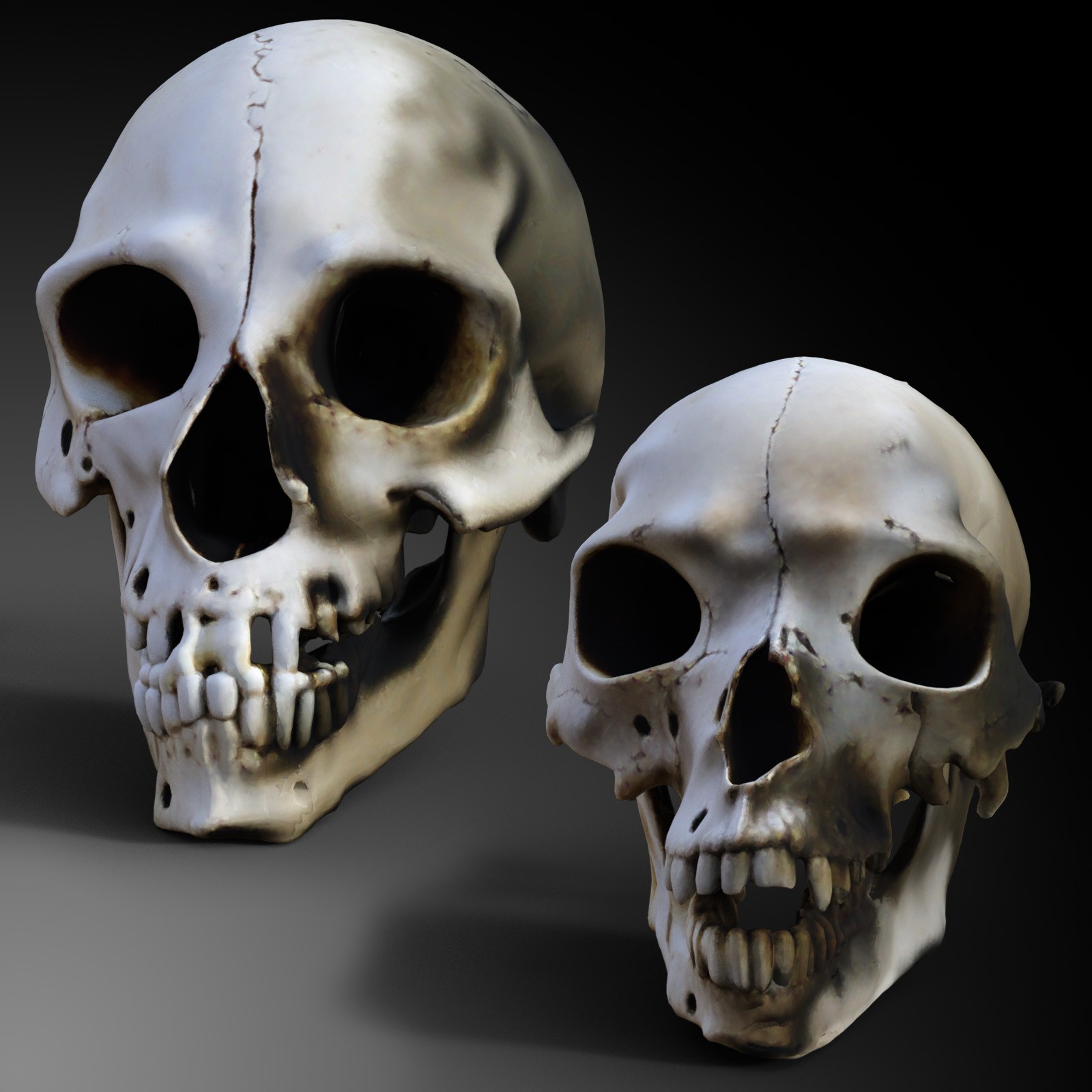 Odd Creatures Skulls by N/A