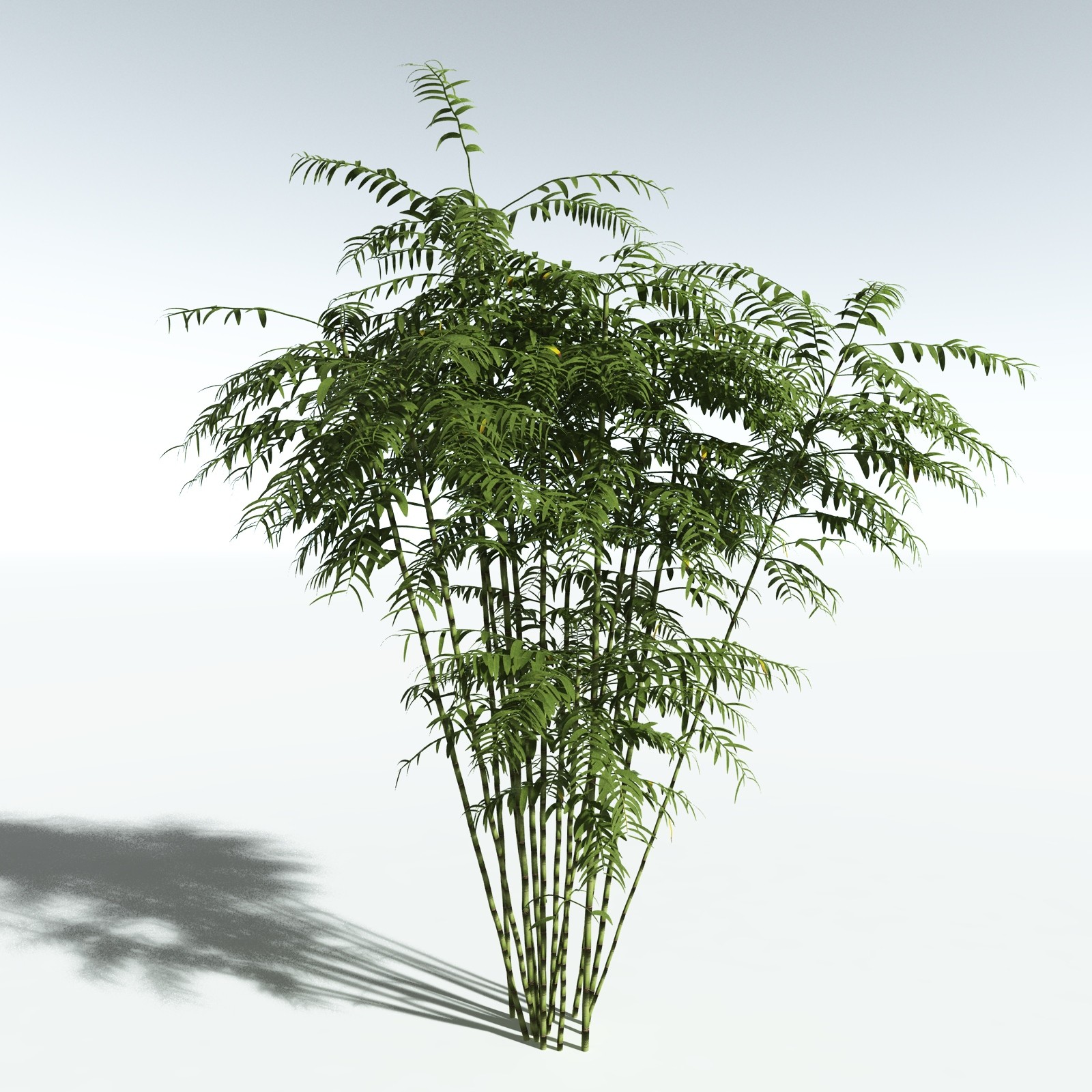 EVERYPlant Bengal Bamboo for Vue by N/A