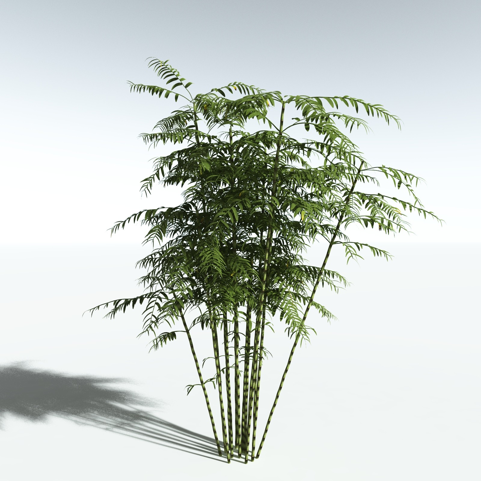 EVERYPlant Bengal Bamboo for Vue by N/A