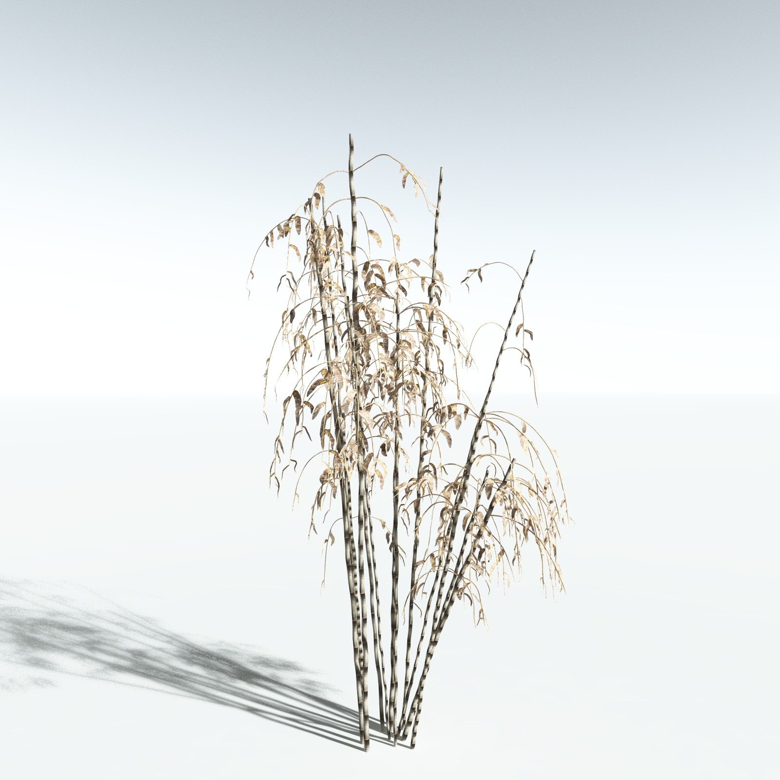 EVERYPlant Bengal Bamboo for Vue by N/A