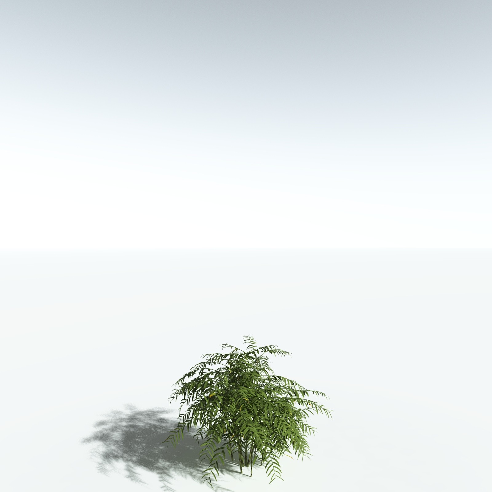 EVERYPlant Bengal Bamboo for Vue by N/A
