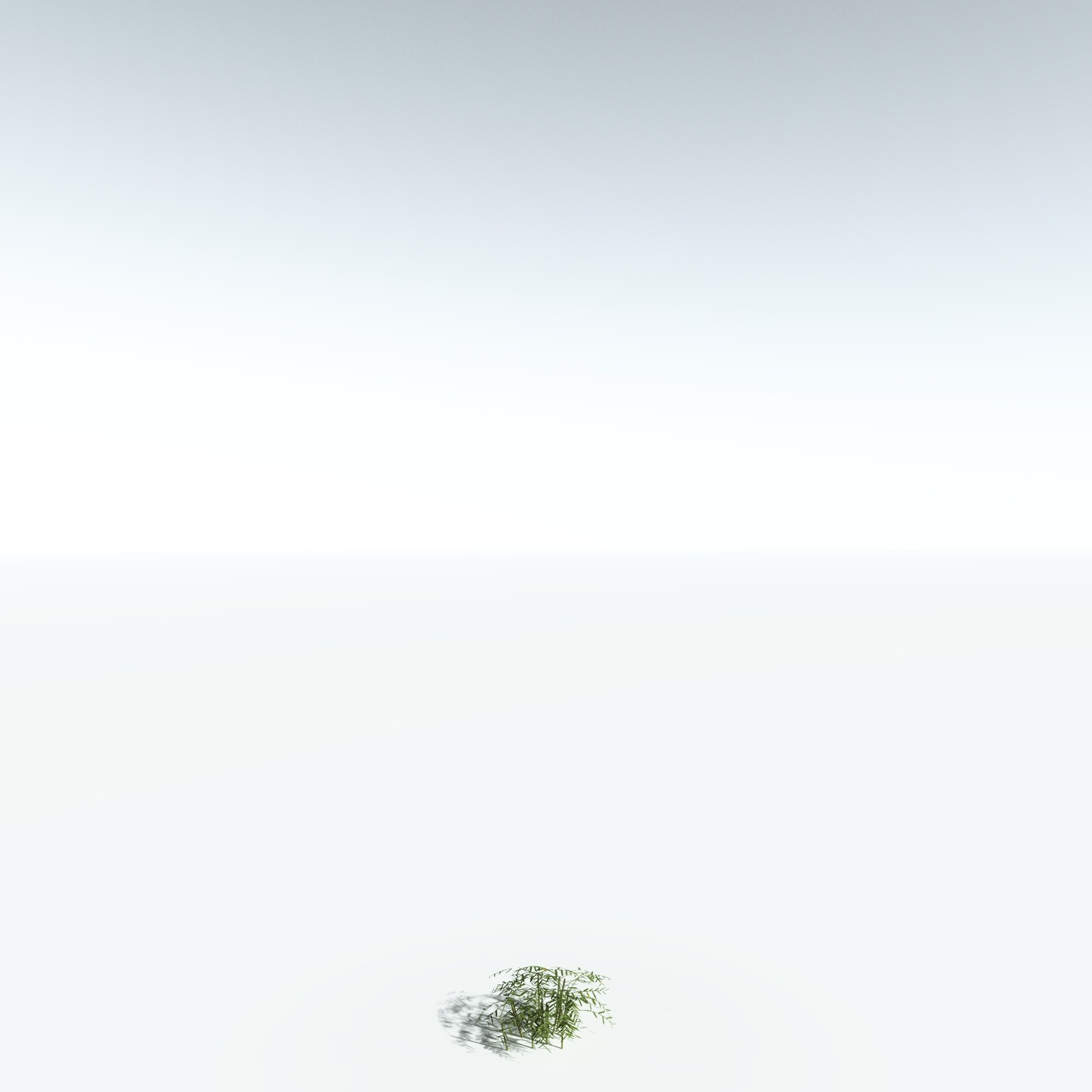 EVERYPlant Bengal Bamboo for Vue by N/A