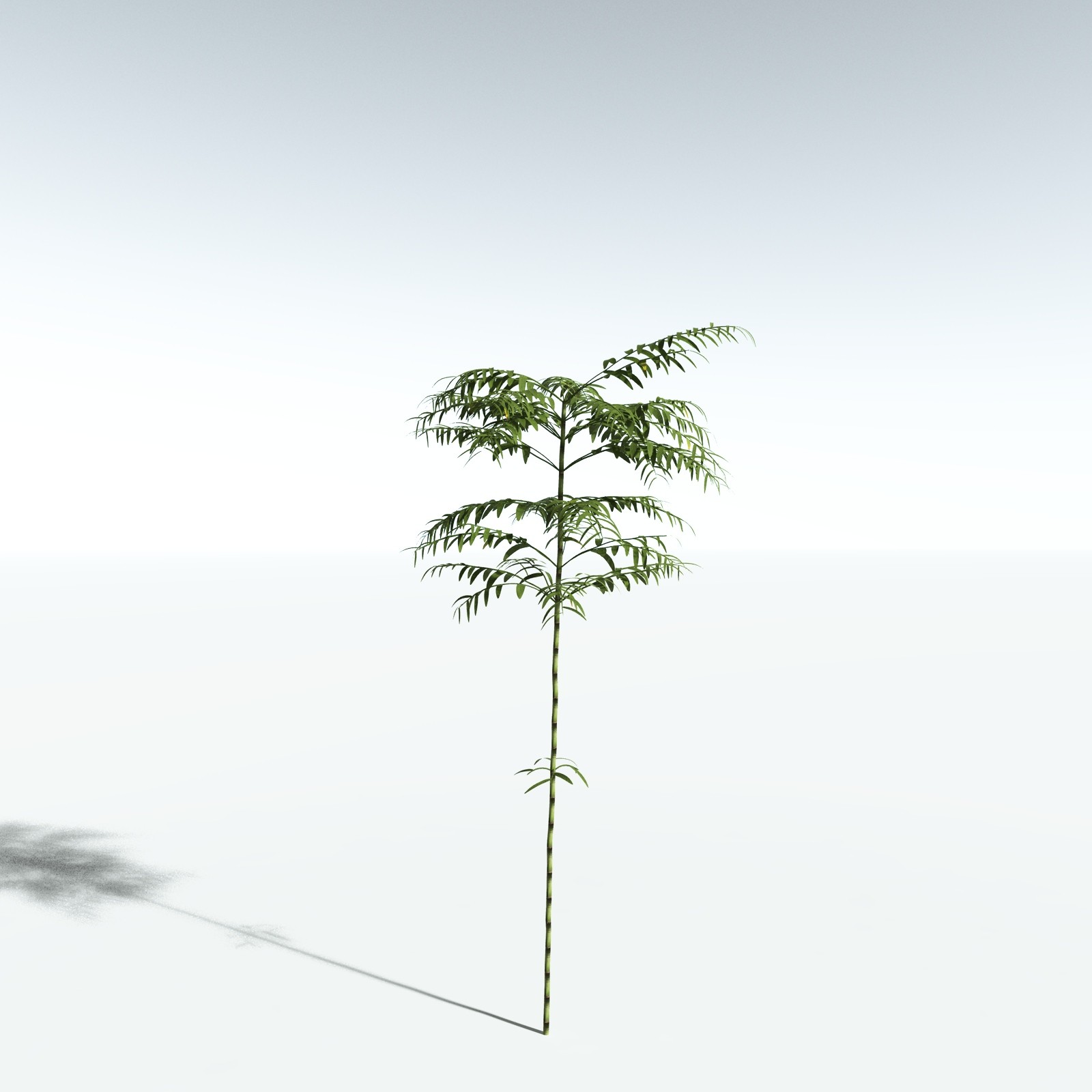 EVERYPlant Bengal Bamboo for Vue by N/A