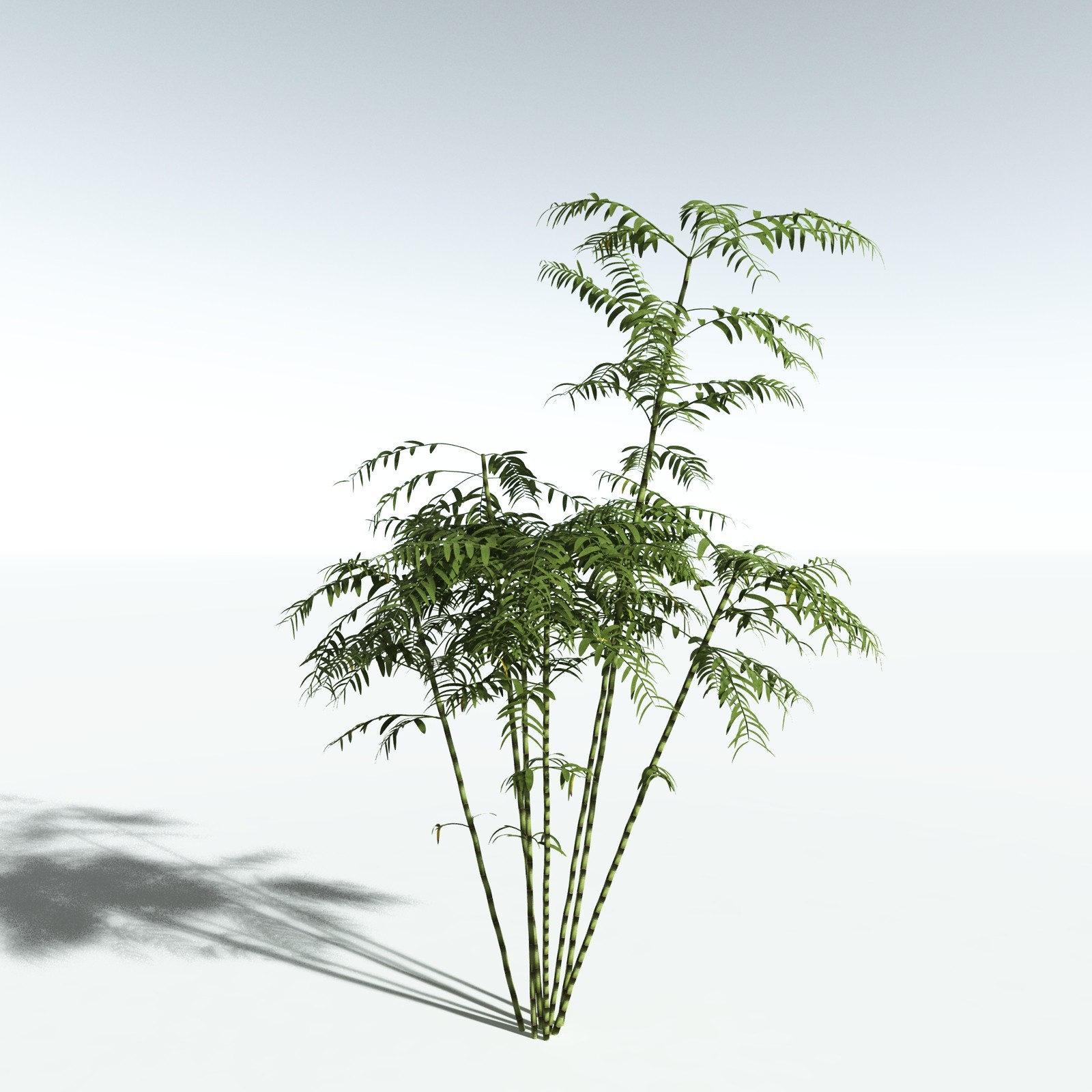 EVERYPlant Bengal Bamboo for Vue by N/A