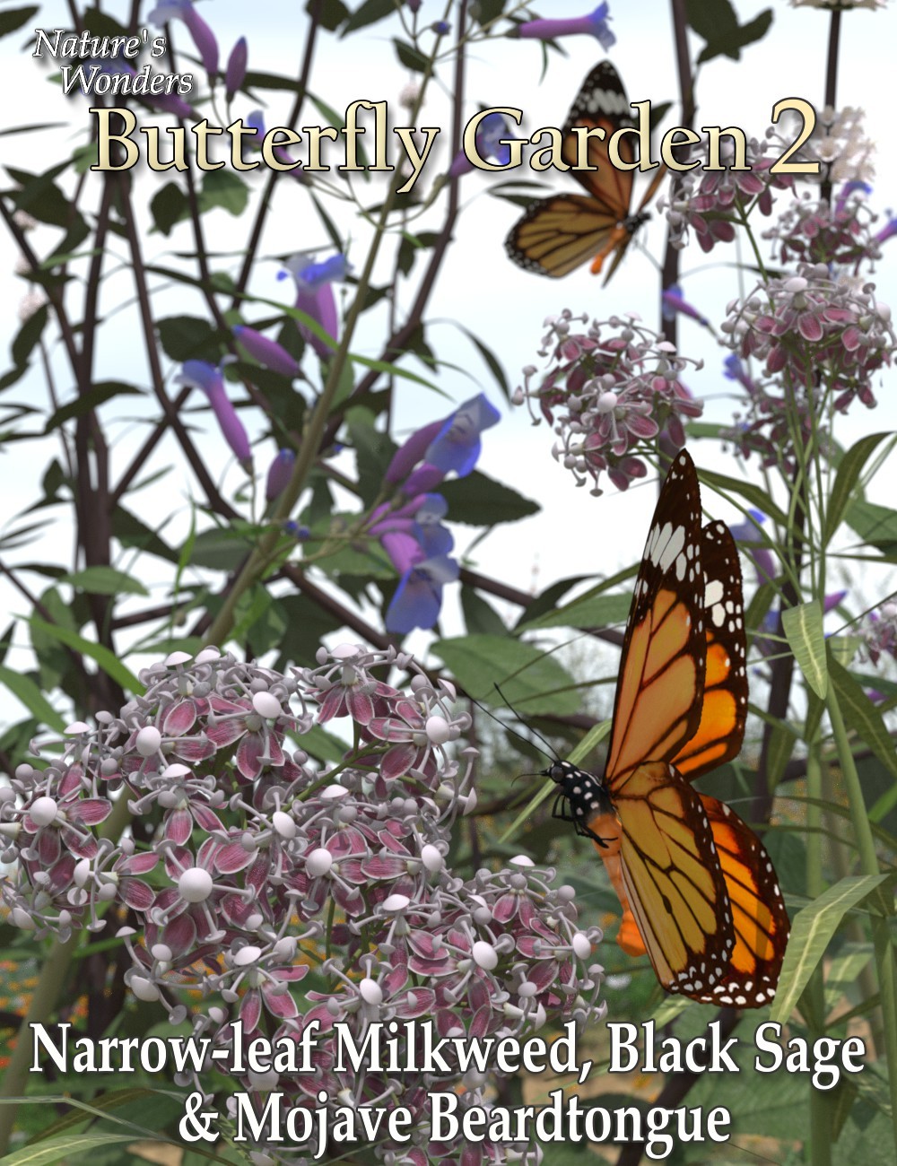 Nature's Wonders Butterfly Garden2 by N/A