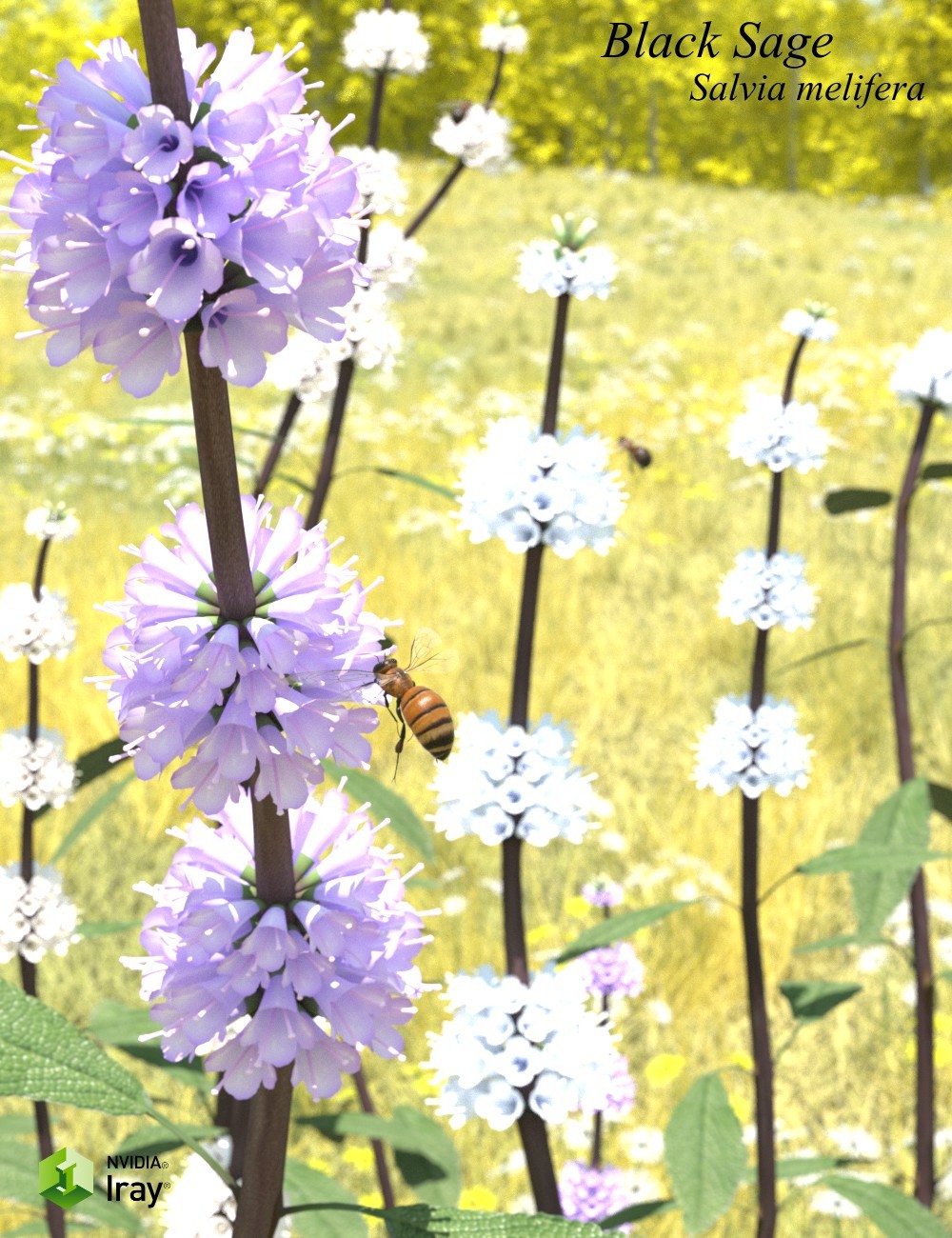 Nature's Wonders Butterfly Garden2 by N/A