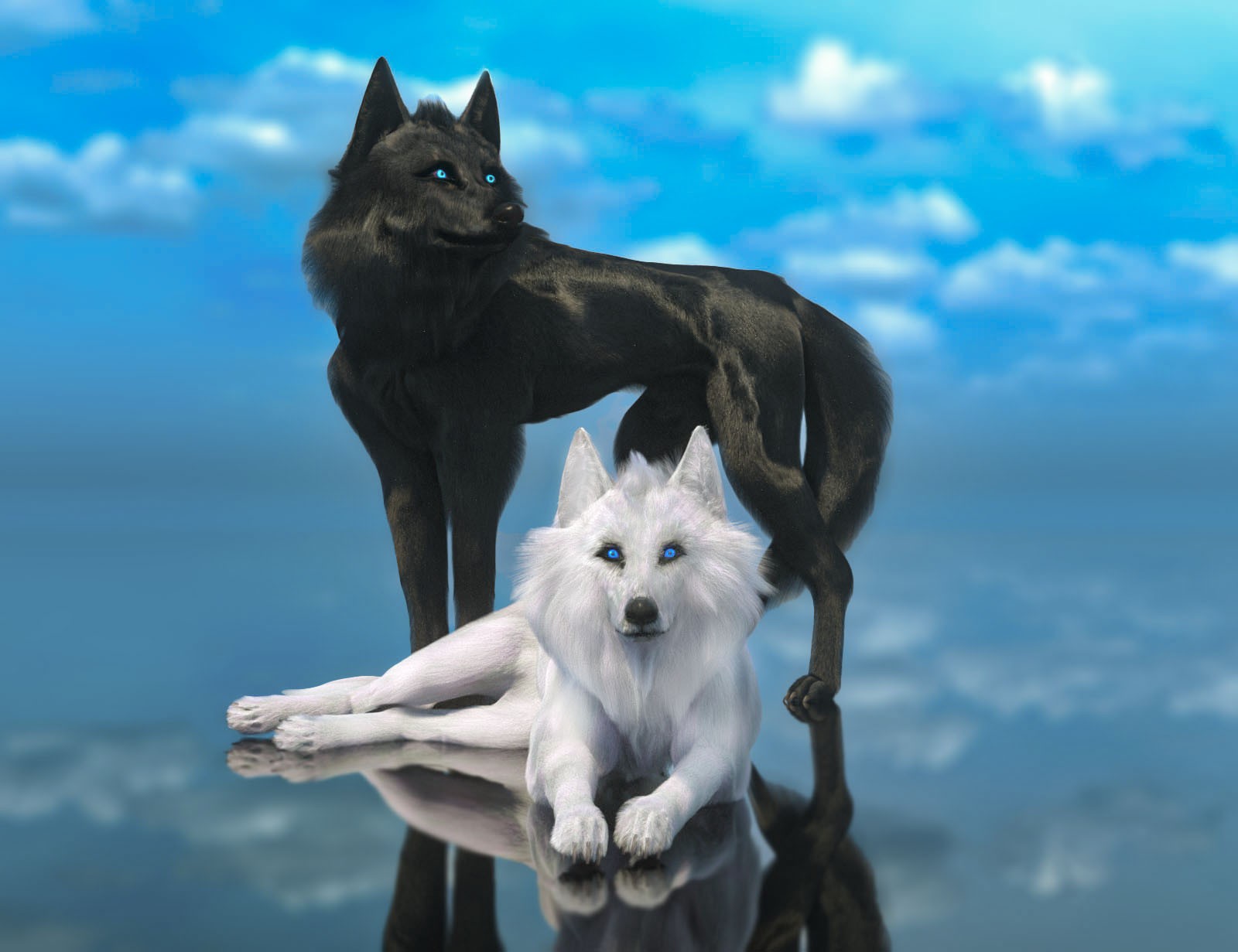 Theron The Wolf by N/A