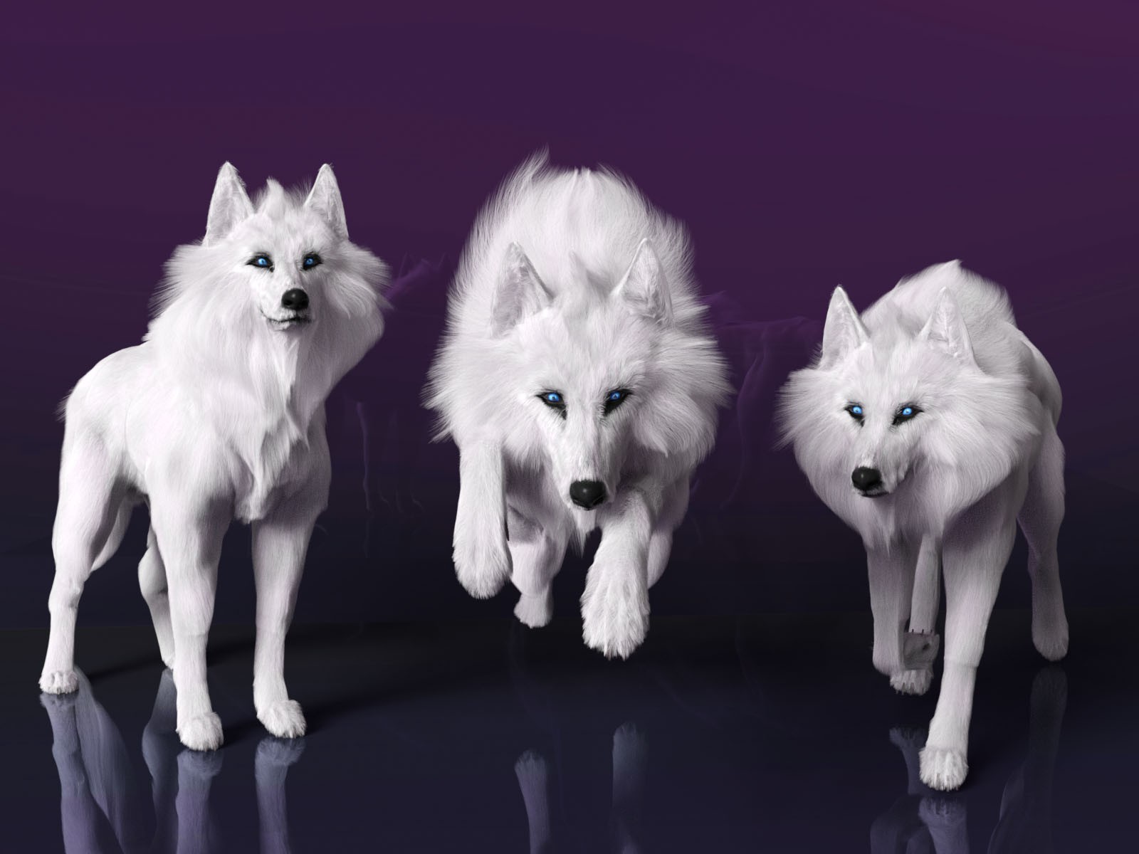 Theron The Wolf by N/A