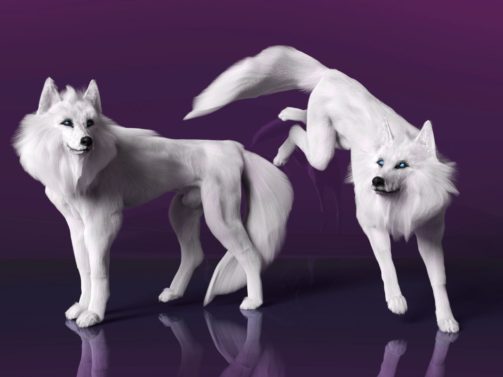 Theron The Wolf by N/A
