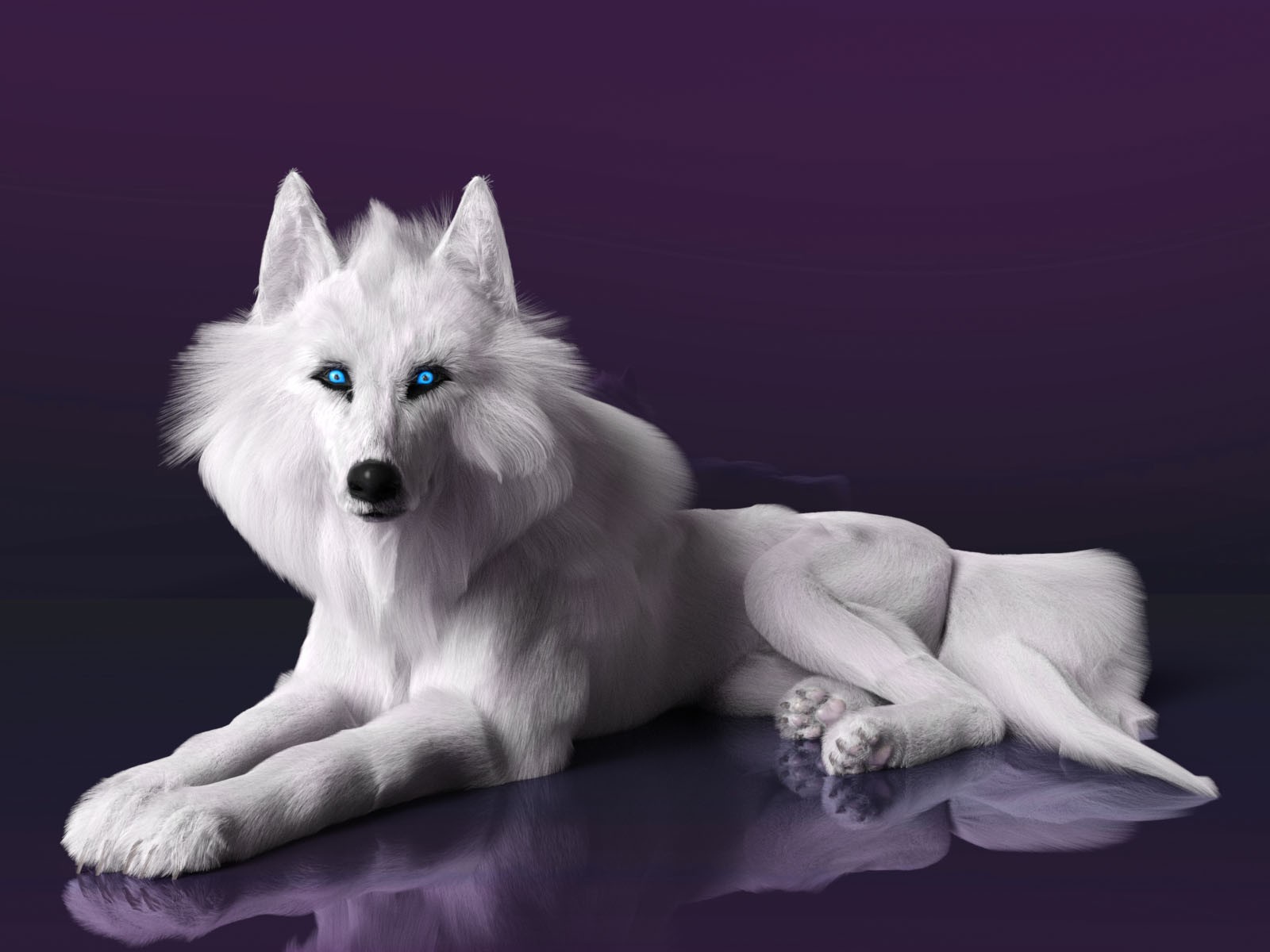 Theron The Wolf by N/A