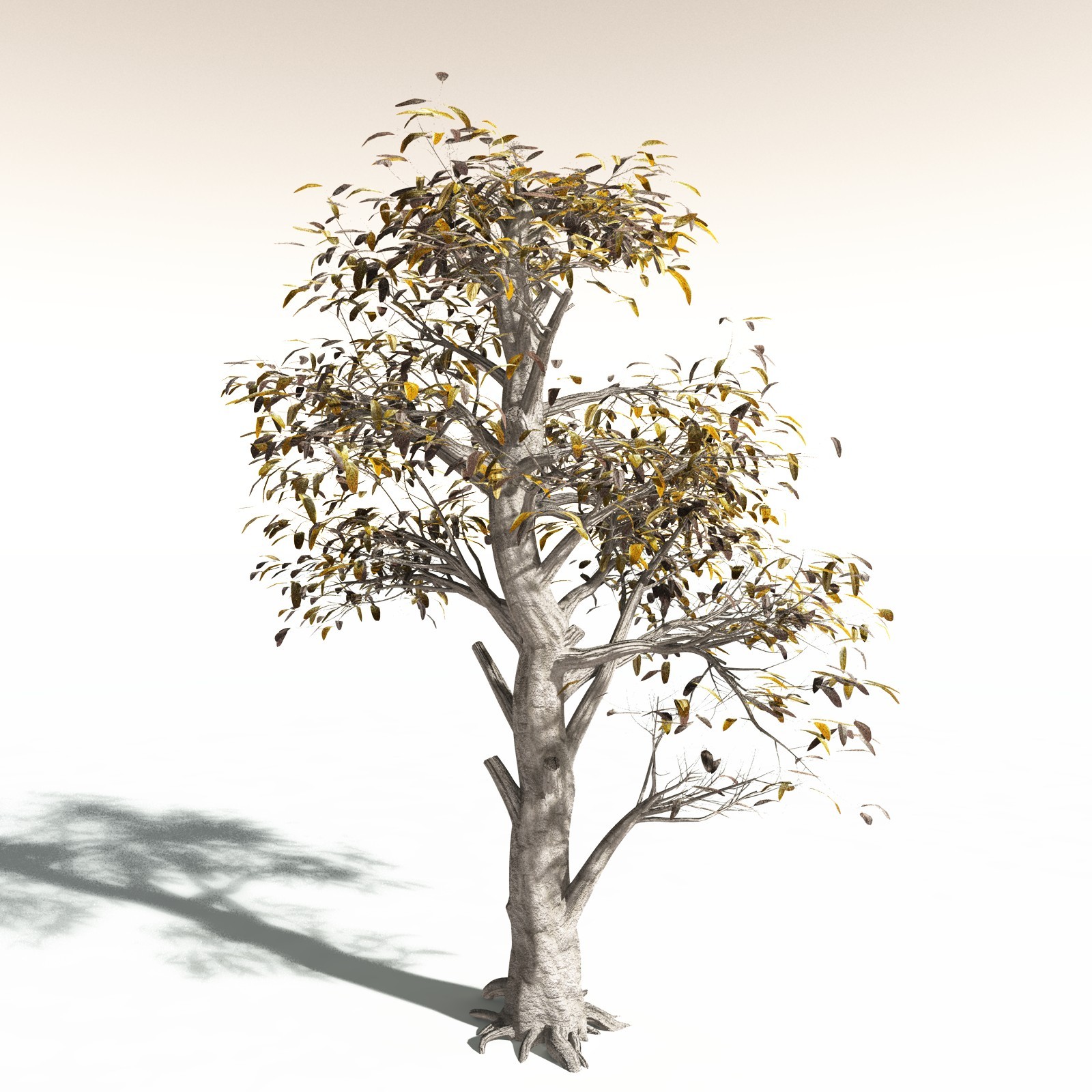 EVERYPlant Durian for Daz by N/A