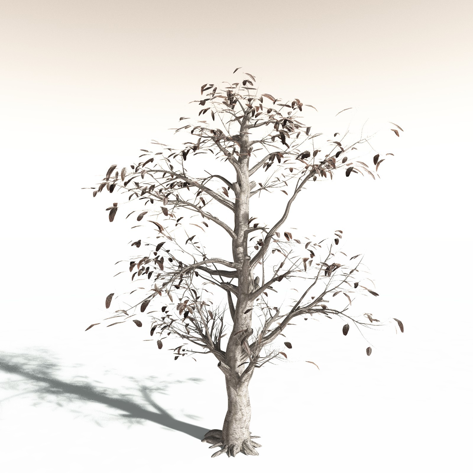 EVERYPlant Durian for Daz by N/A