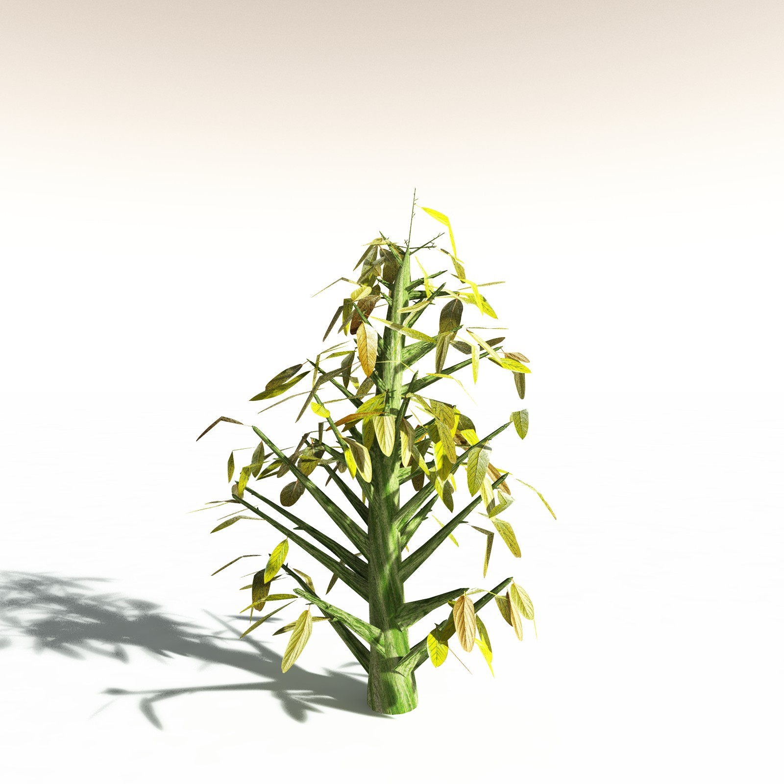 EVERYPlant Durian for Daz by N/A