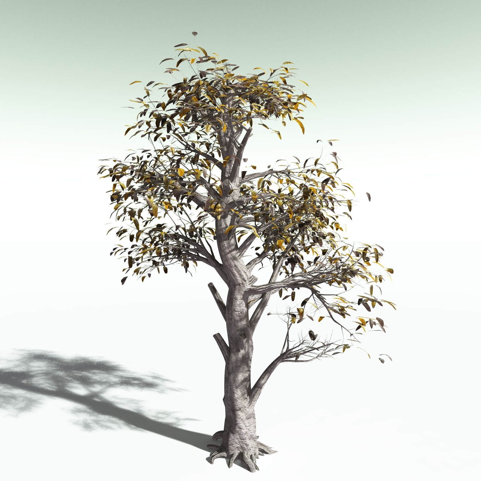 EVERYPlant Durian for Poser by N/A