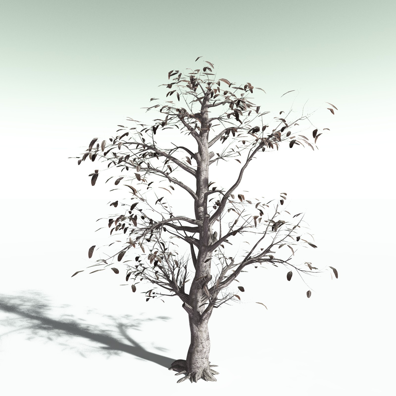 EVERYPlant Durian for Poser by N/A