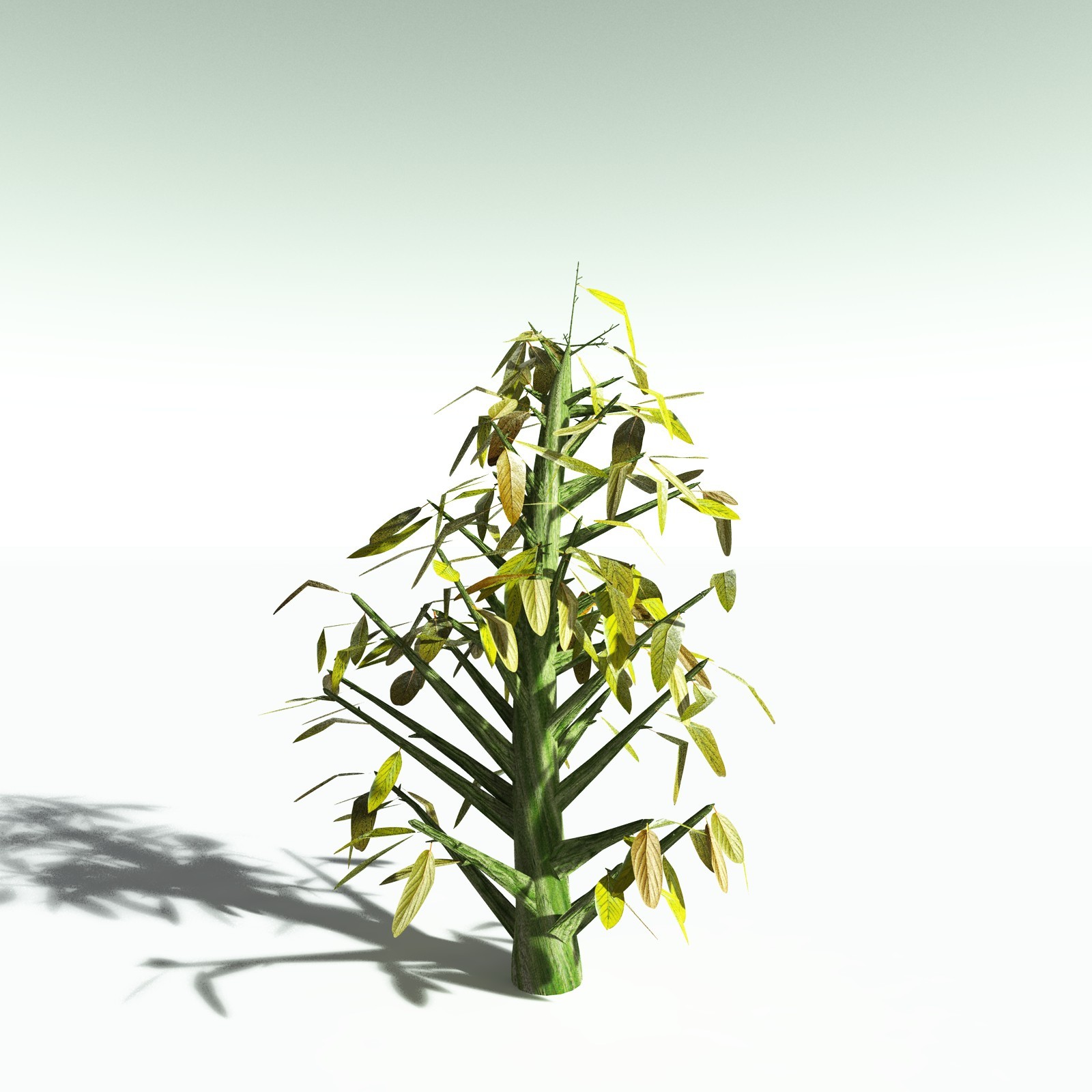 EVERYPlant Durian for Poser by N/A