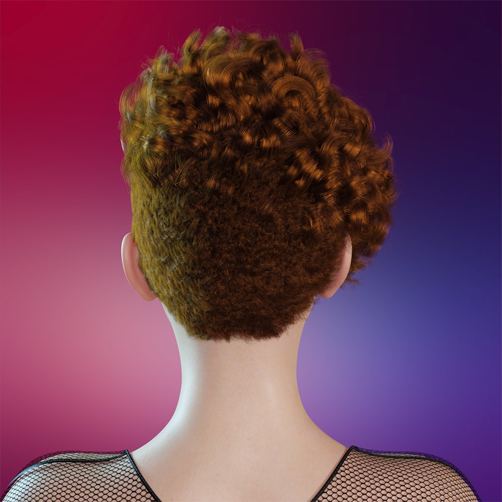 Prae-Sidra Hair For G8/G9 Daz by N/A