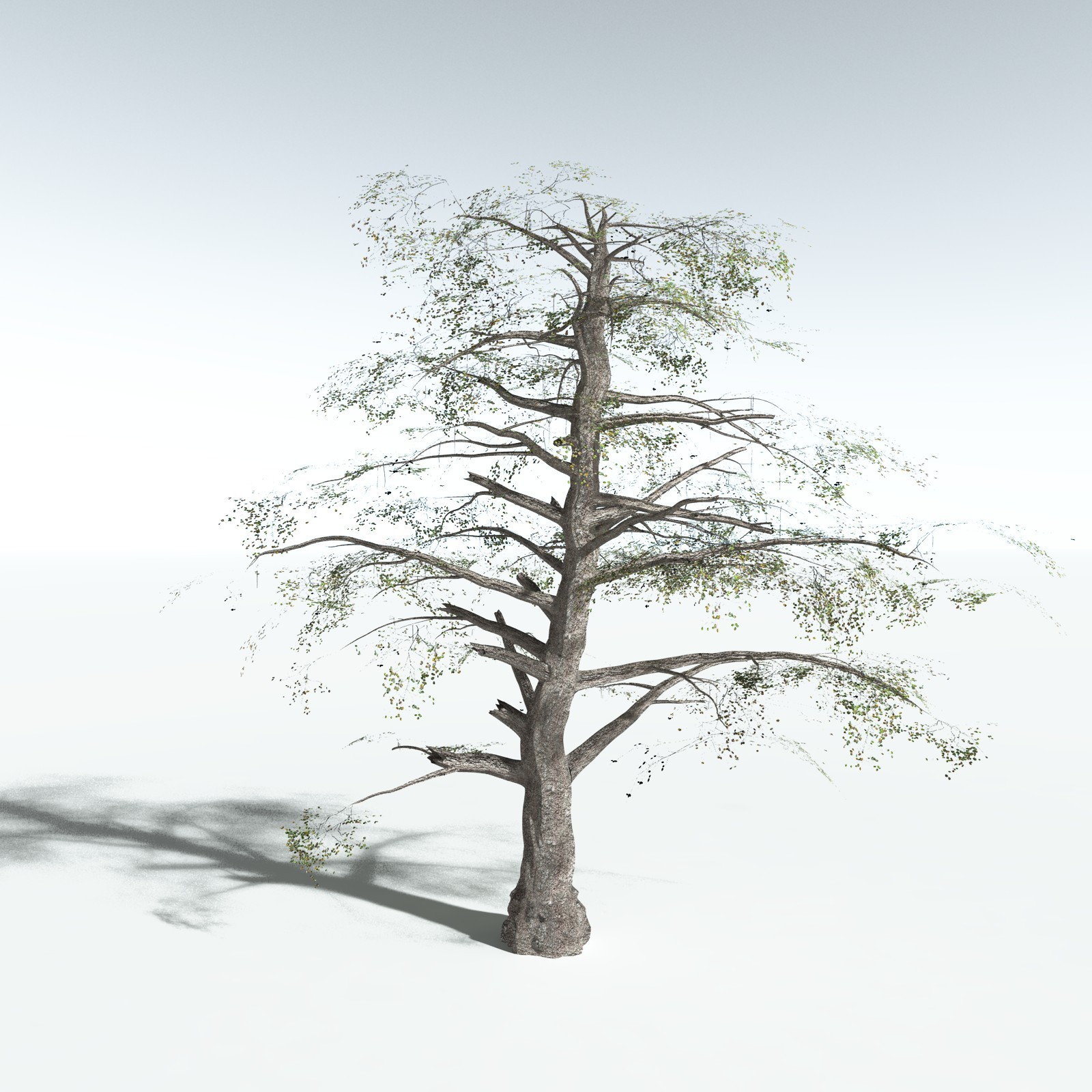 EVERYPlant Malabar Plum for Vue by N/A