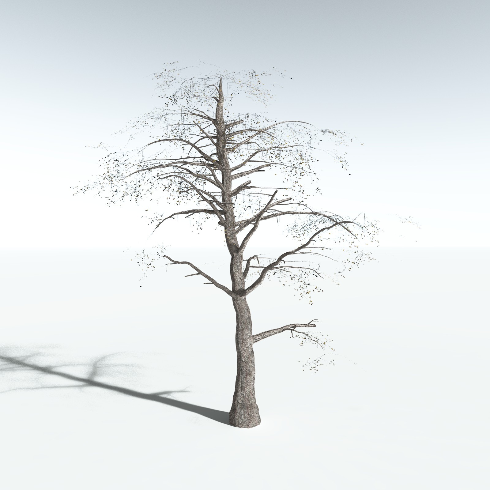 EVERYPlant Malabar Plum for Vue by N/A