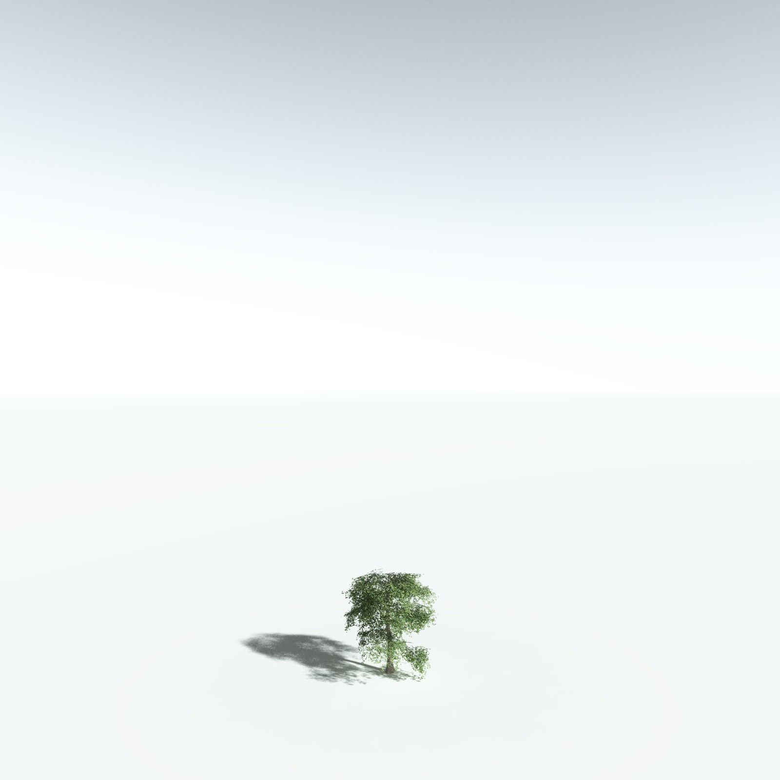 EVERYPlant Malabar Plum for Vue by N/A