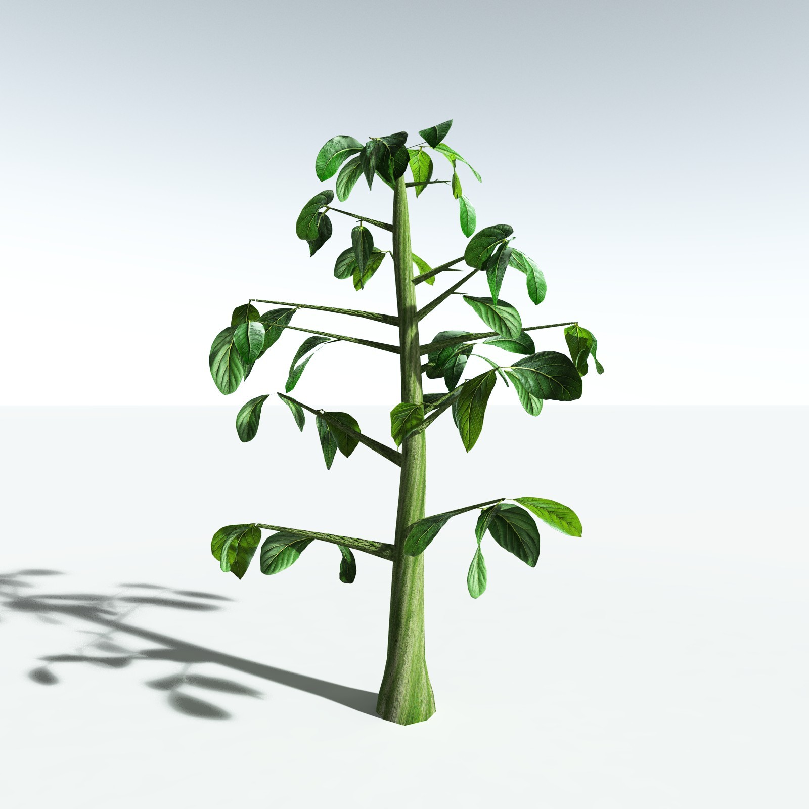 EVERYPlant Malabar Plum for Vue by N/A