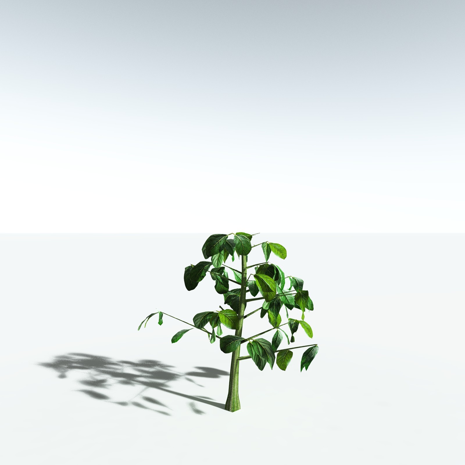 EVERYPlant Malabar Plum for Vue by N/A