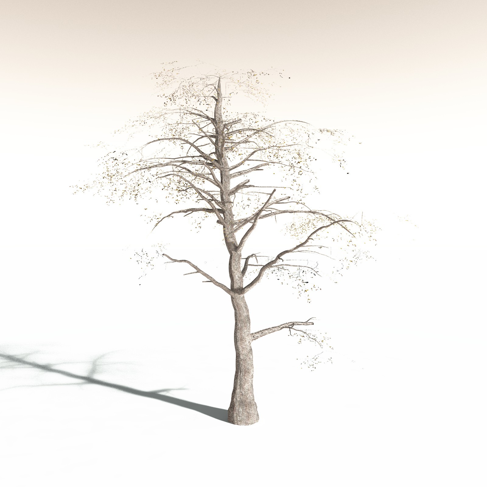EVERYPlant Malabar Plum for Daz by N/A