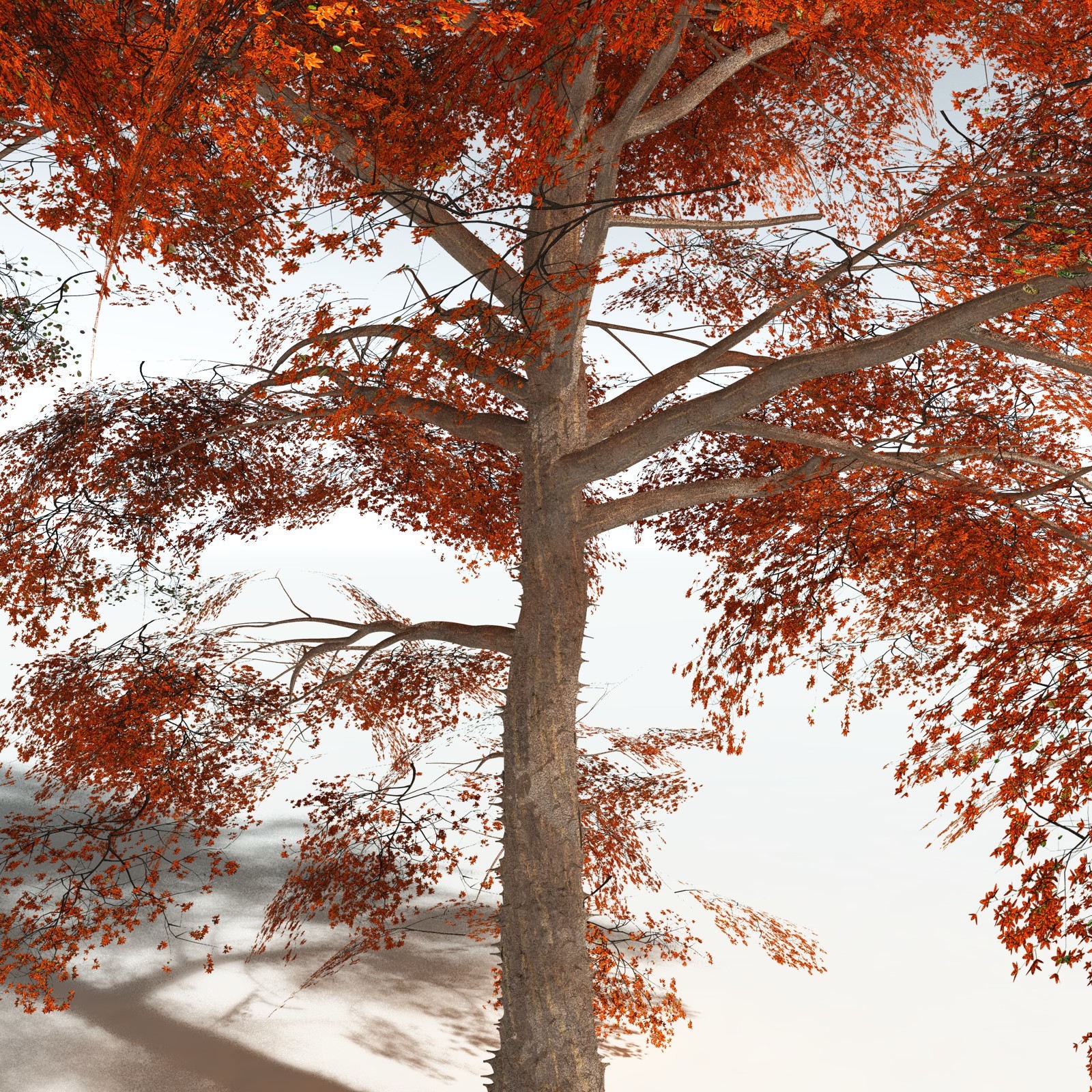 EVERYPlant Cotton Tree for Vue by N/A
