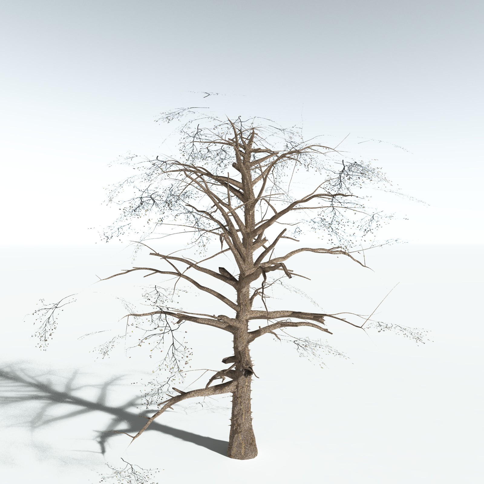 EVERYPlant Cotton Tree for Vue by N/A