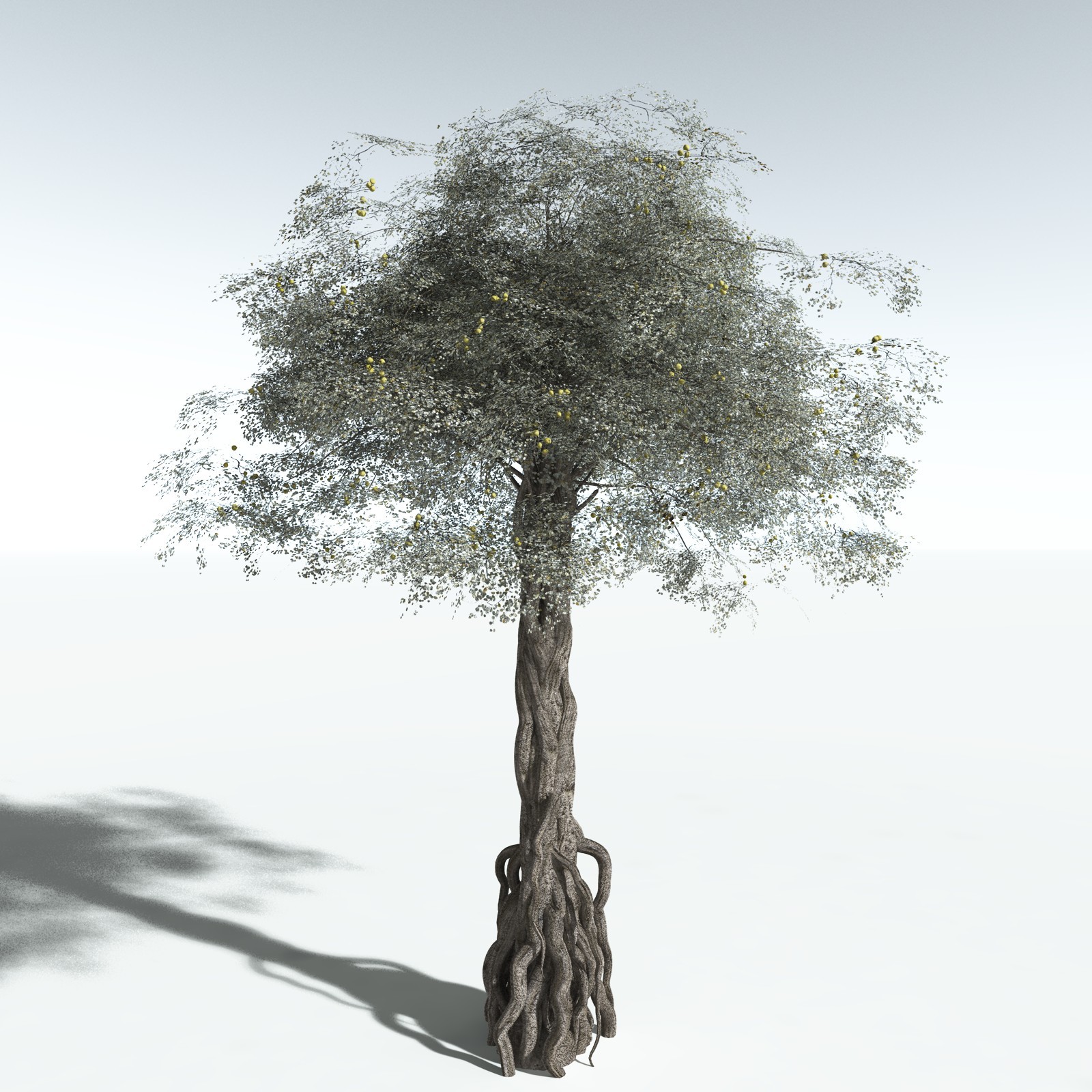 EVERYPlant Weeping Fig for Vue by N/A