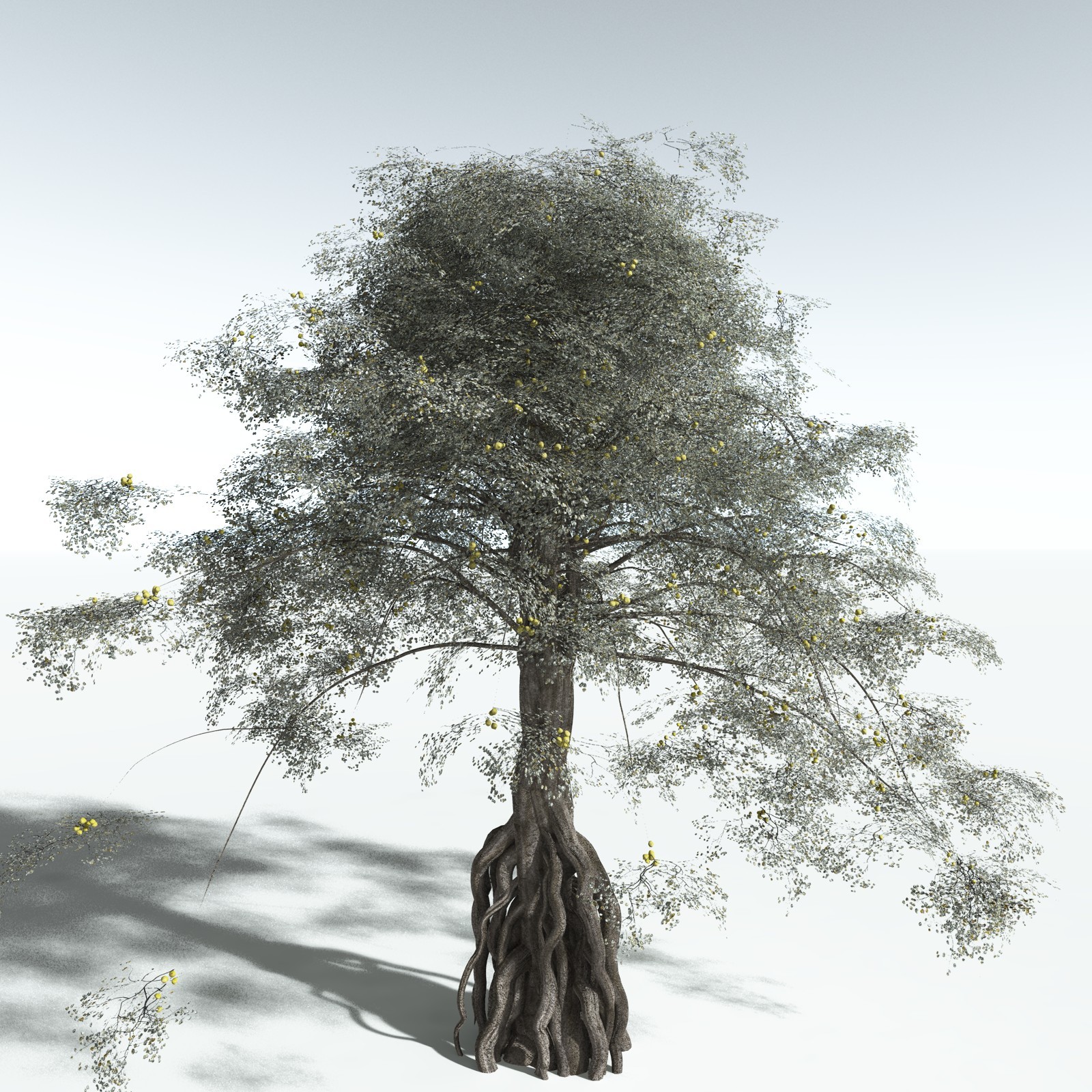 EVERYPlant Weeping Fig for Vue by N/A