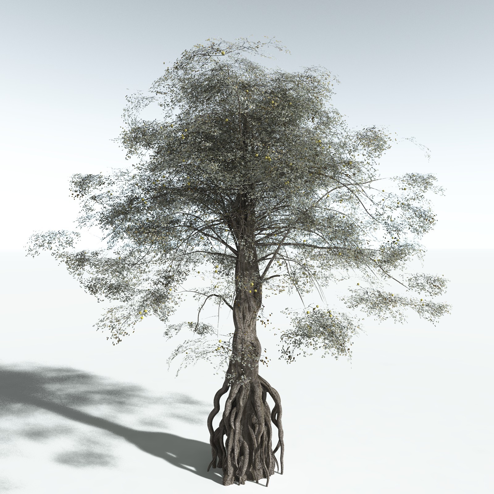 EVERYPlant Weeping Fig for Vue by N/A