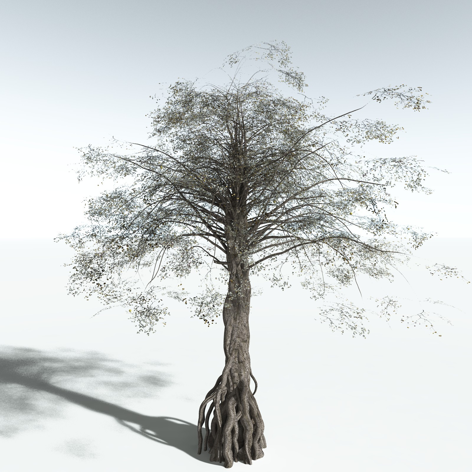 EVERYPlant Weeping Fig for Vue by N/A