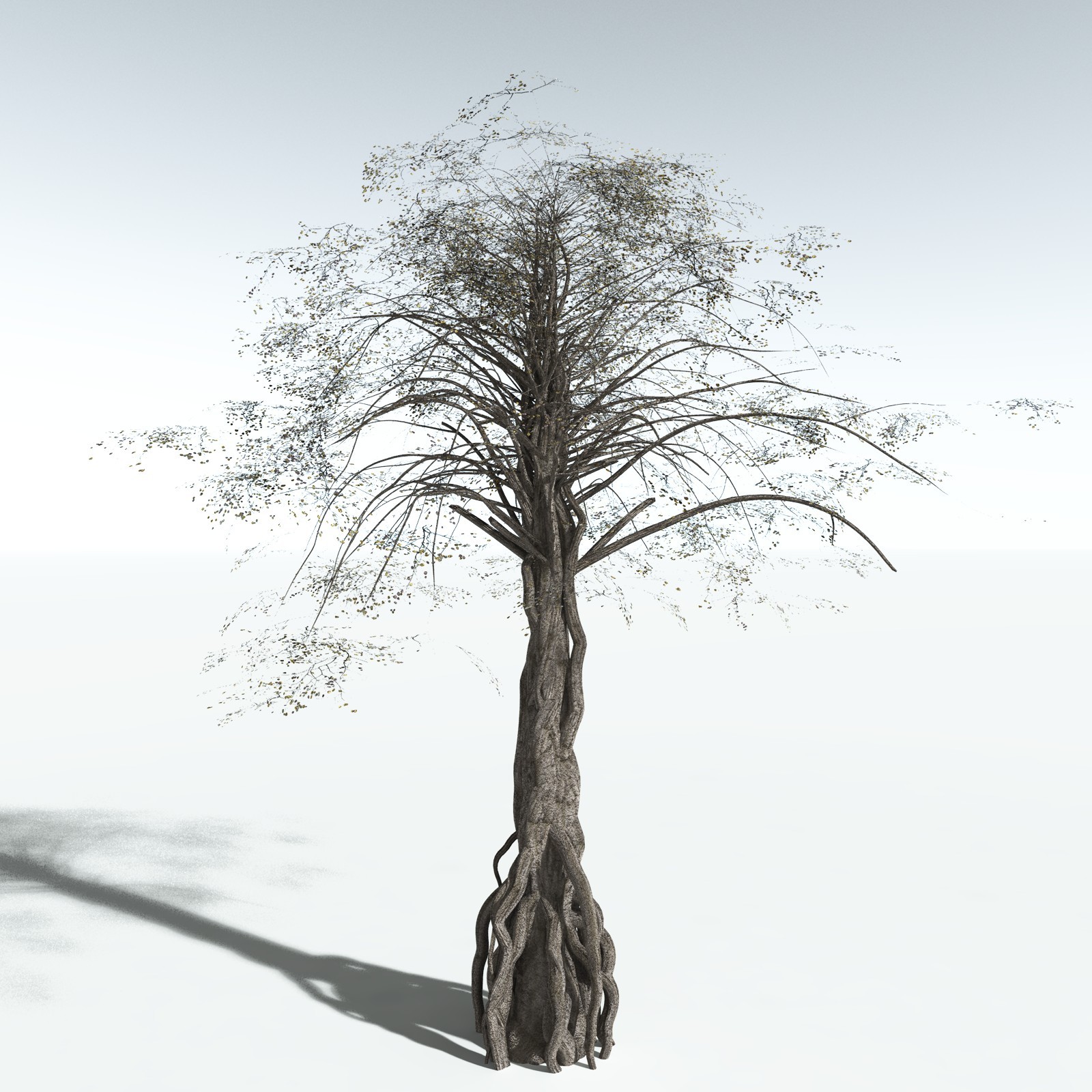 EVERYPlant Weeping Fig for Vue by N/A