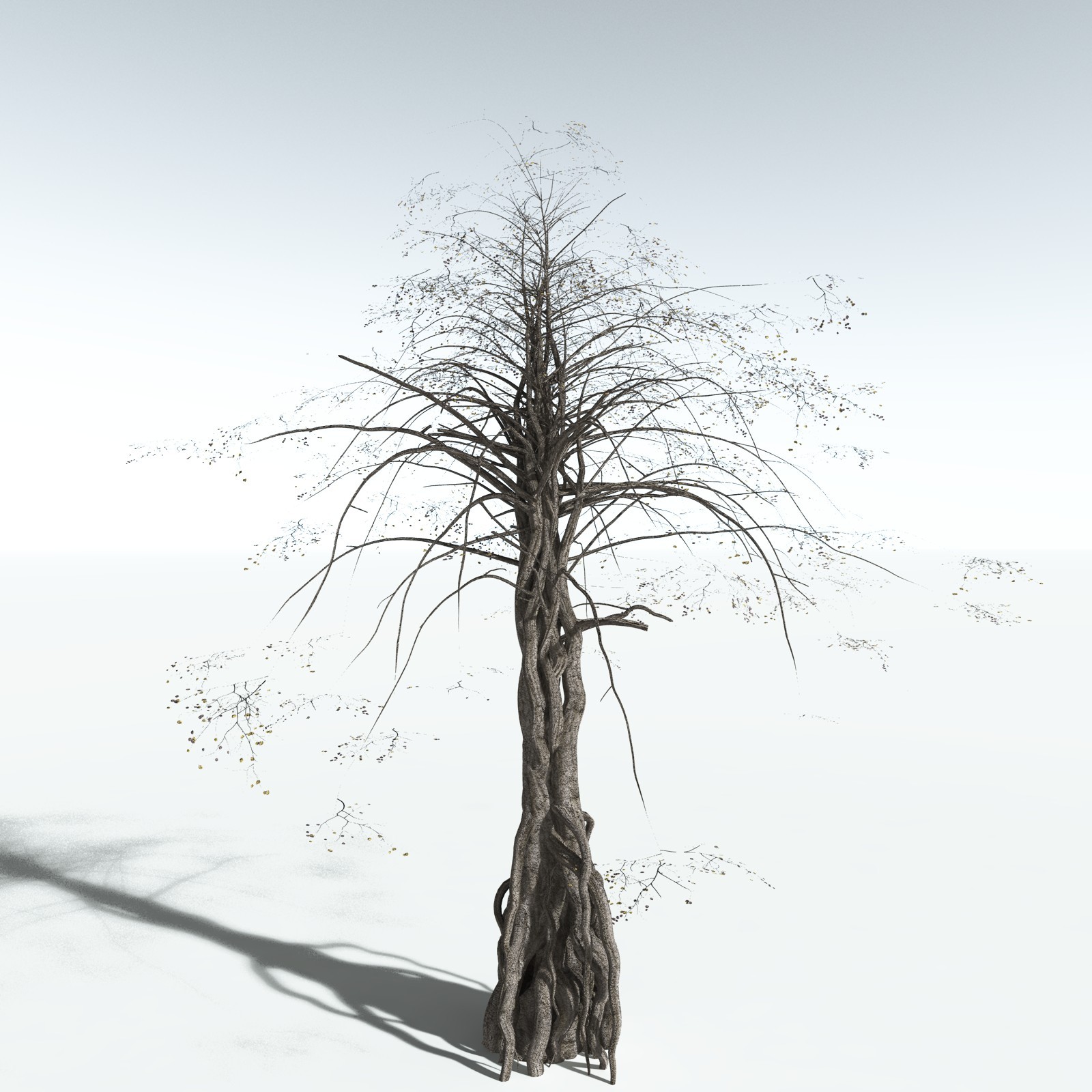 EVERYPlant Weeping Fig for Vue by N/A