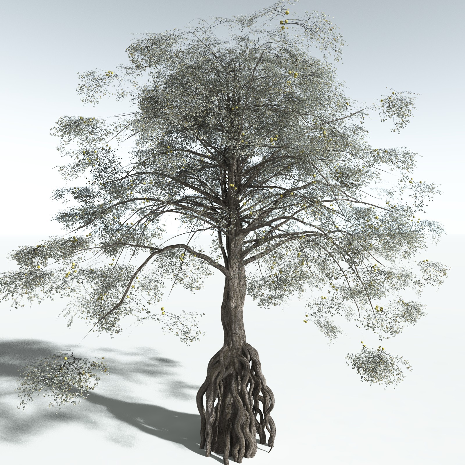 EVERYPlant Weeping Fig for Vue by N/A