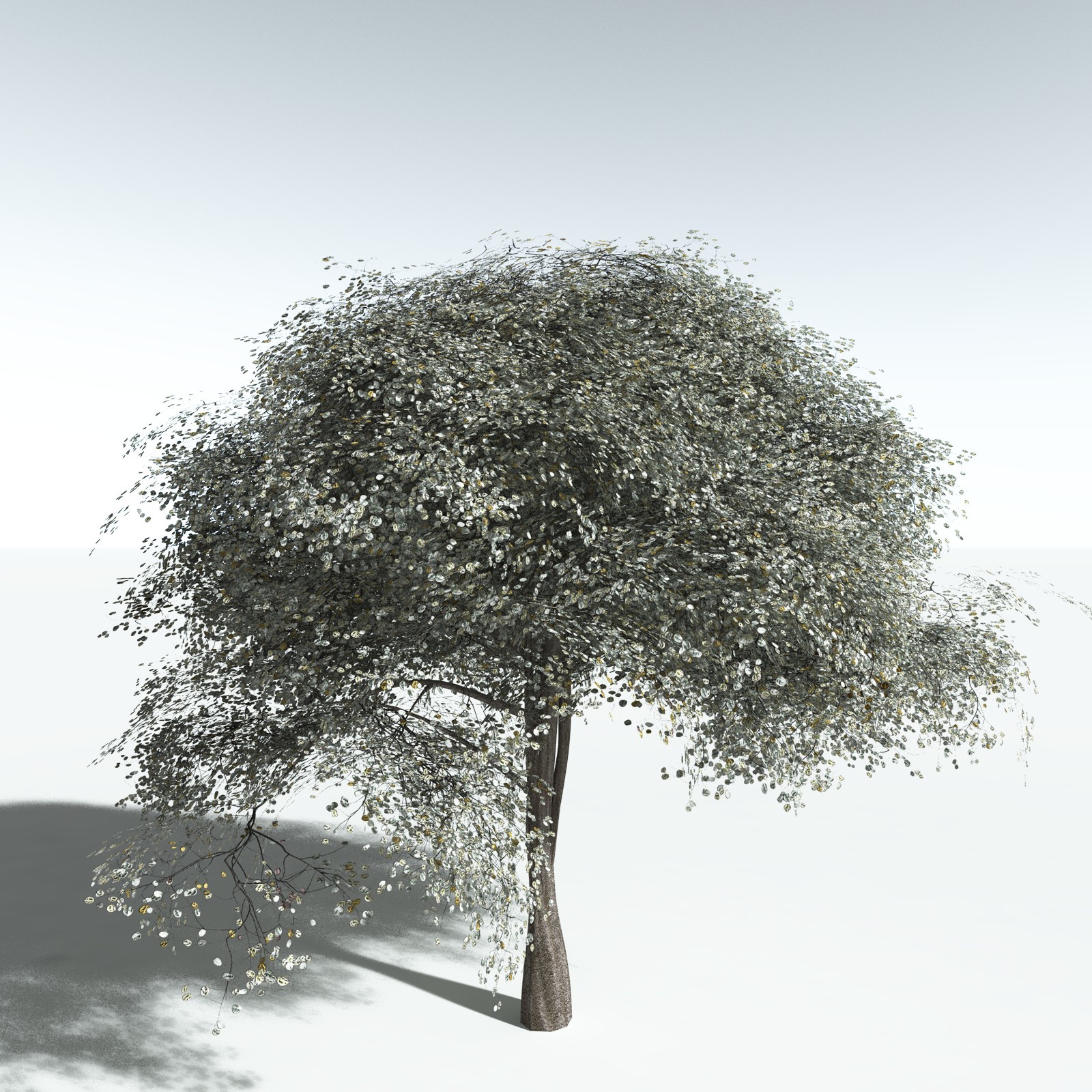 EVERYPlant Weeping Fig for Vue by N/A