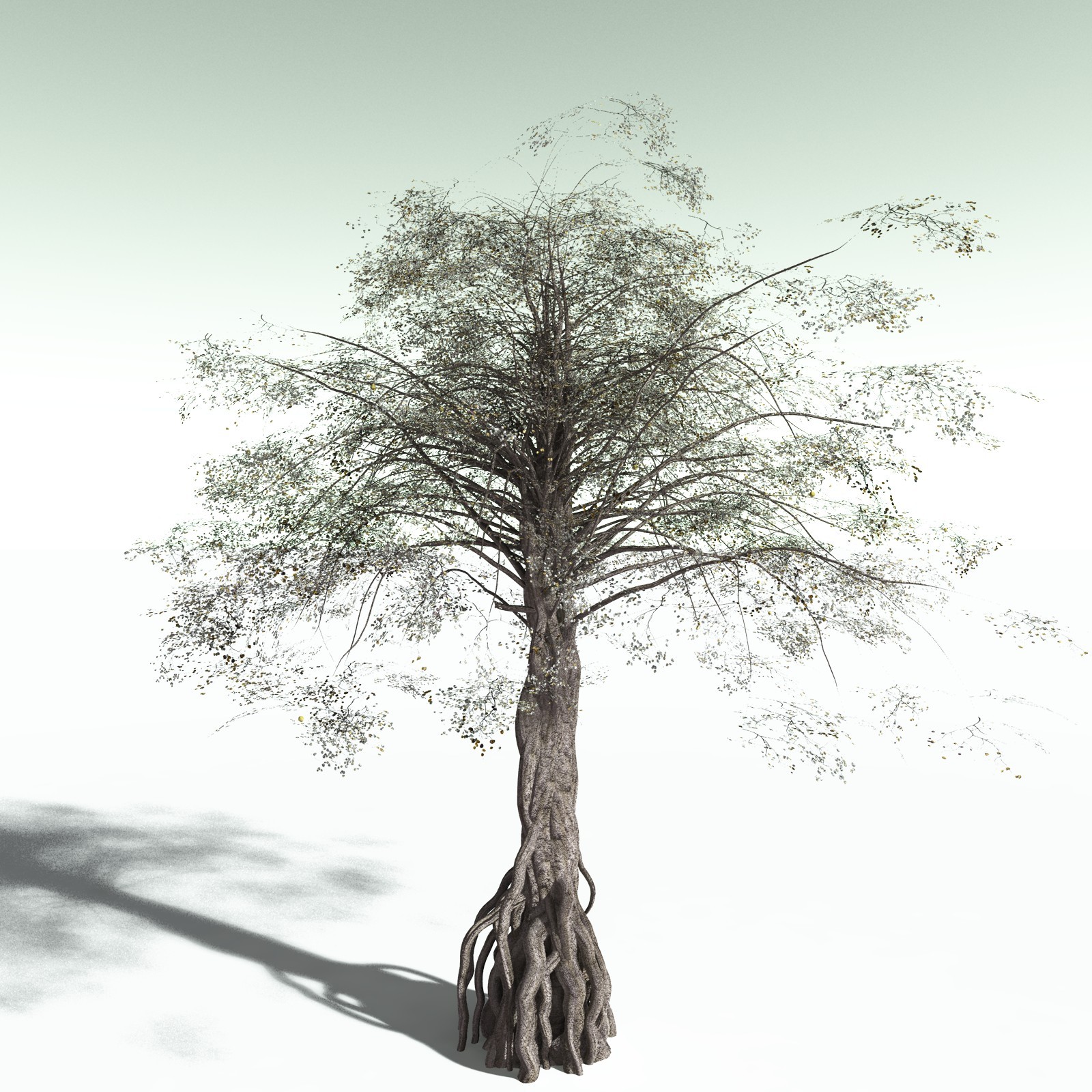 EVERYPlant Weeping Fig for Poser by N/A
