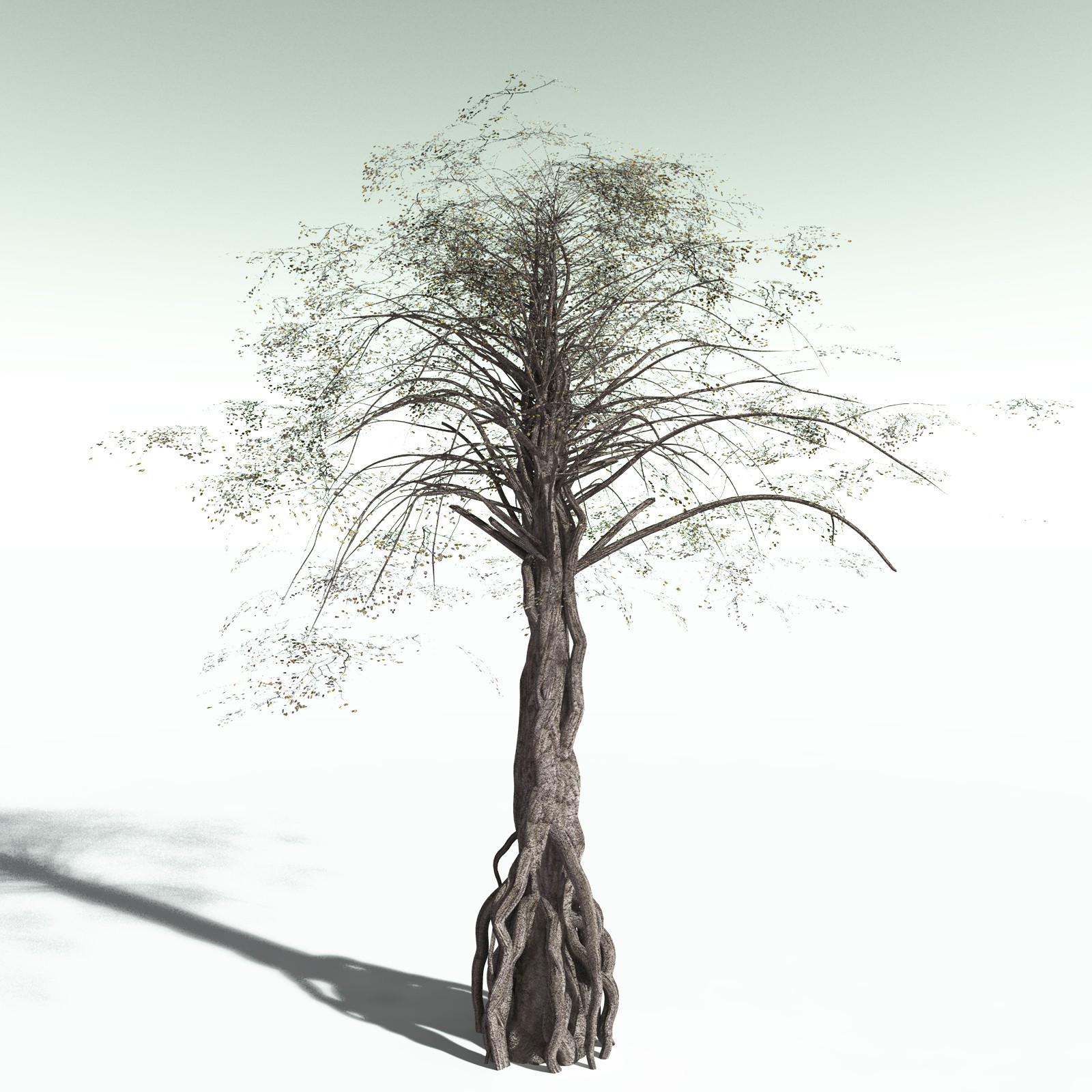 EVERYPlant Weeping Fig for Poser by N/A