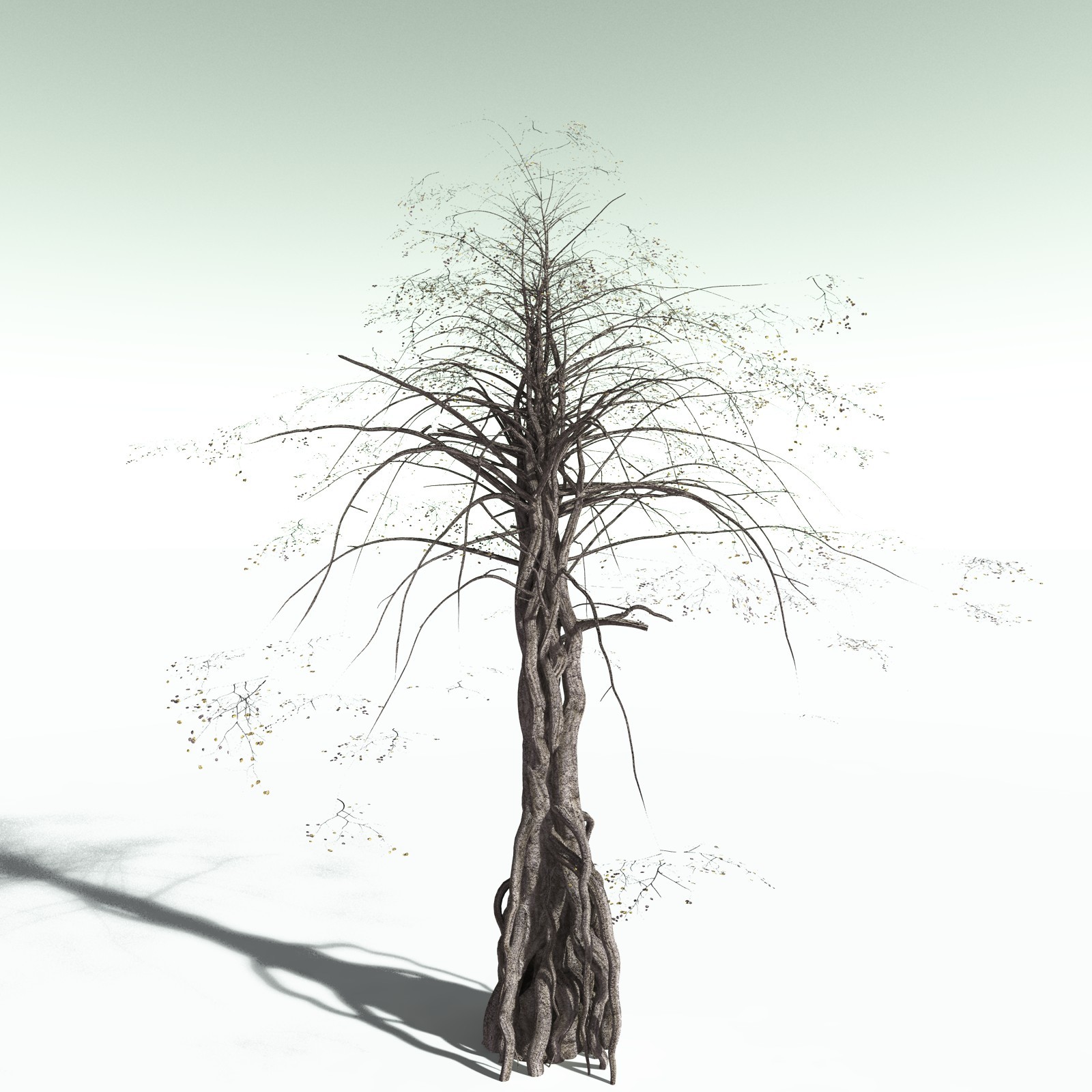 EVERYPlant Weeping Fig for Poser by N/A
