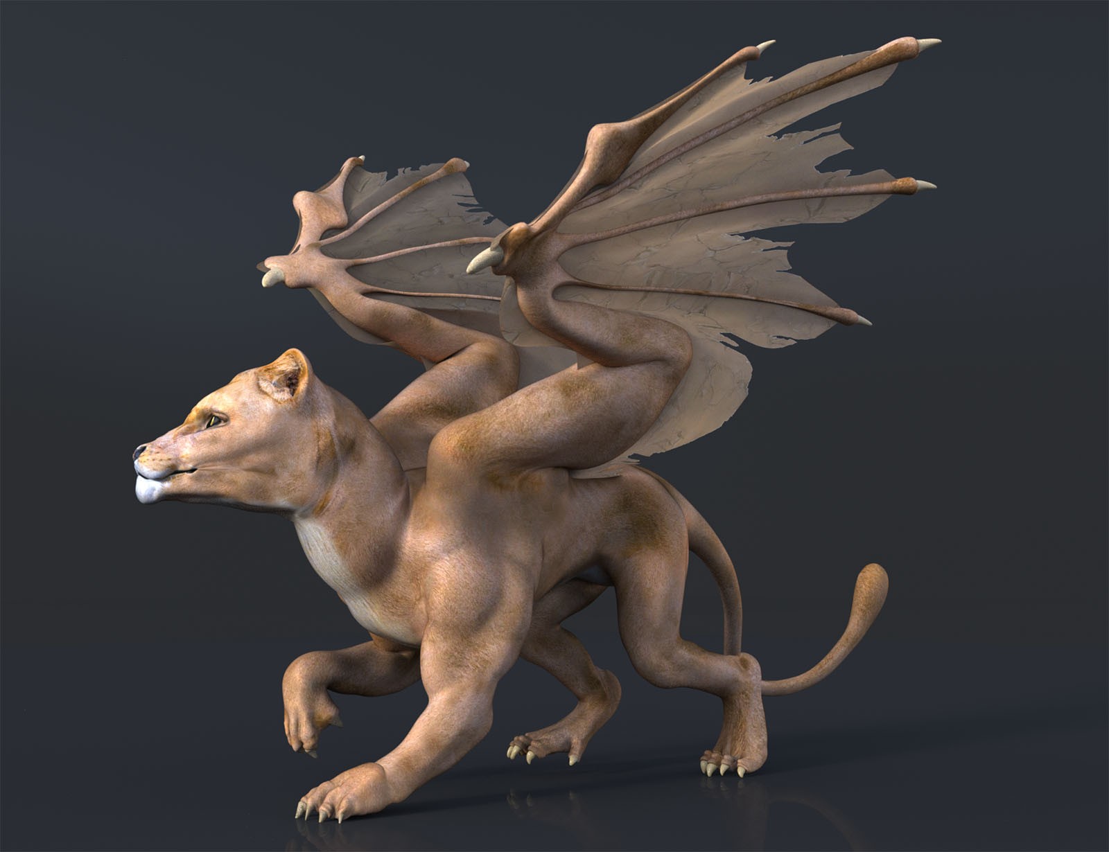 Liondrake by N/A