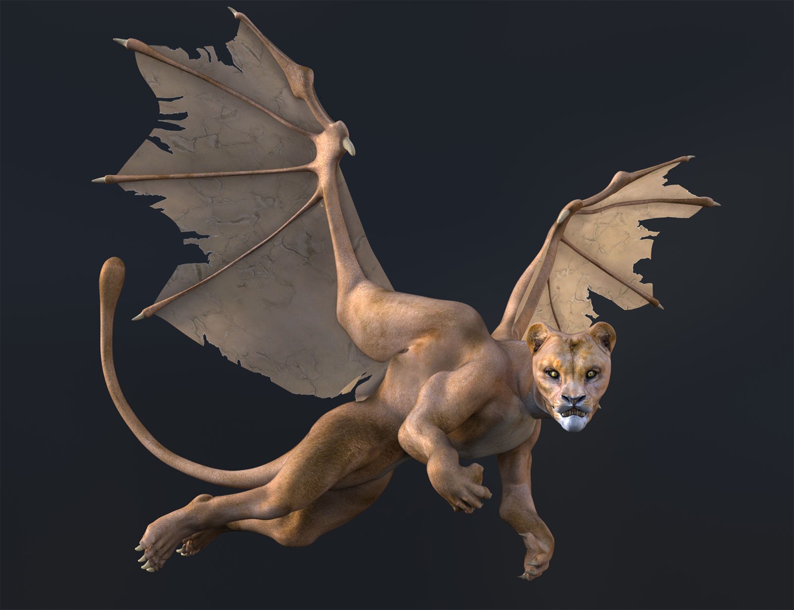Liondrake by N/A