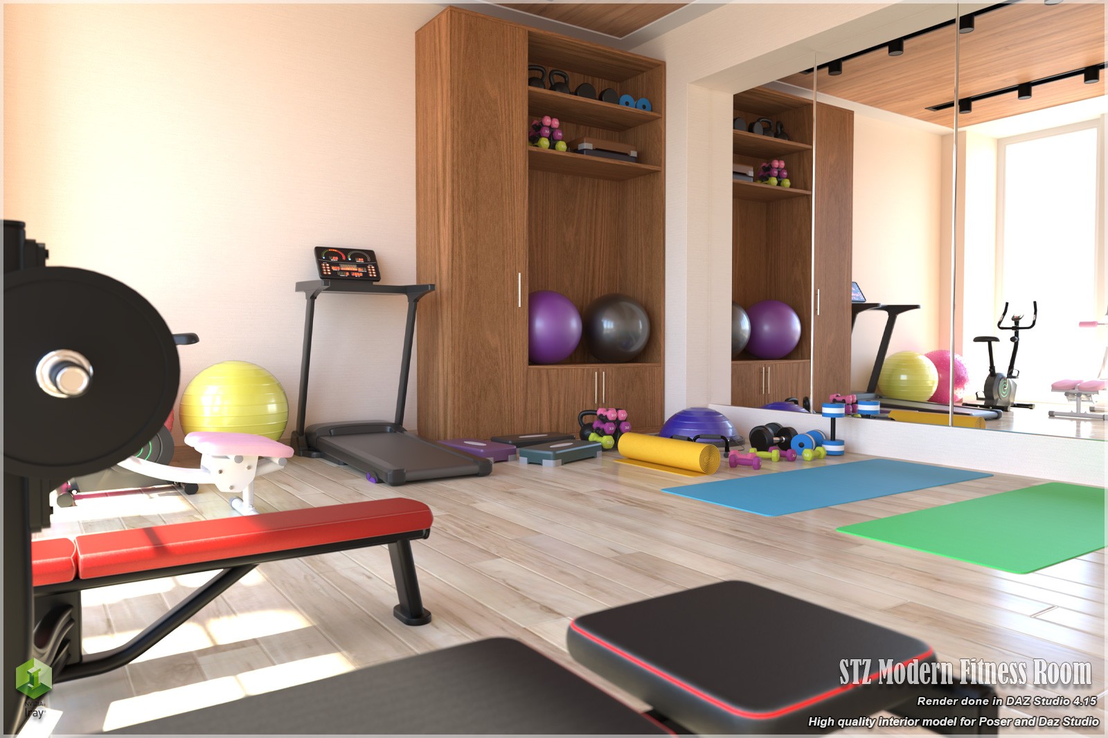 STZ Modern Fitness Room by N/A