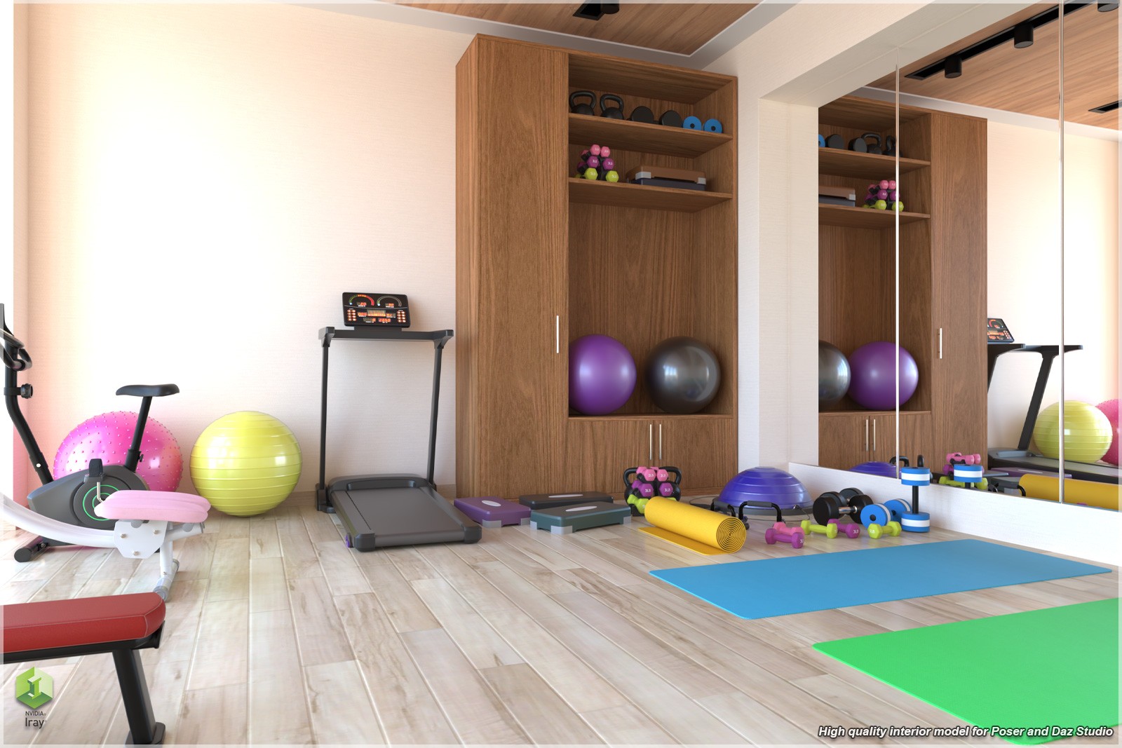 STZ Modern Fitness Room by N/A