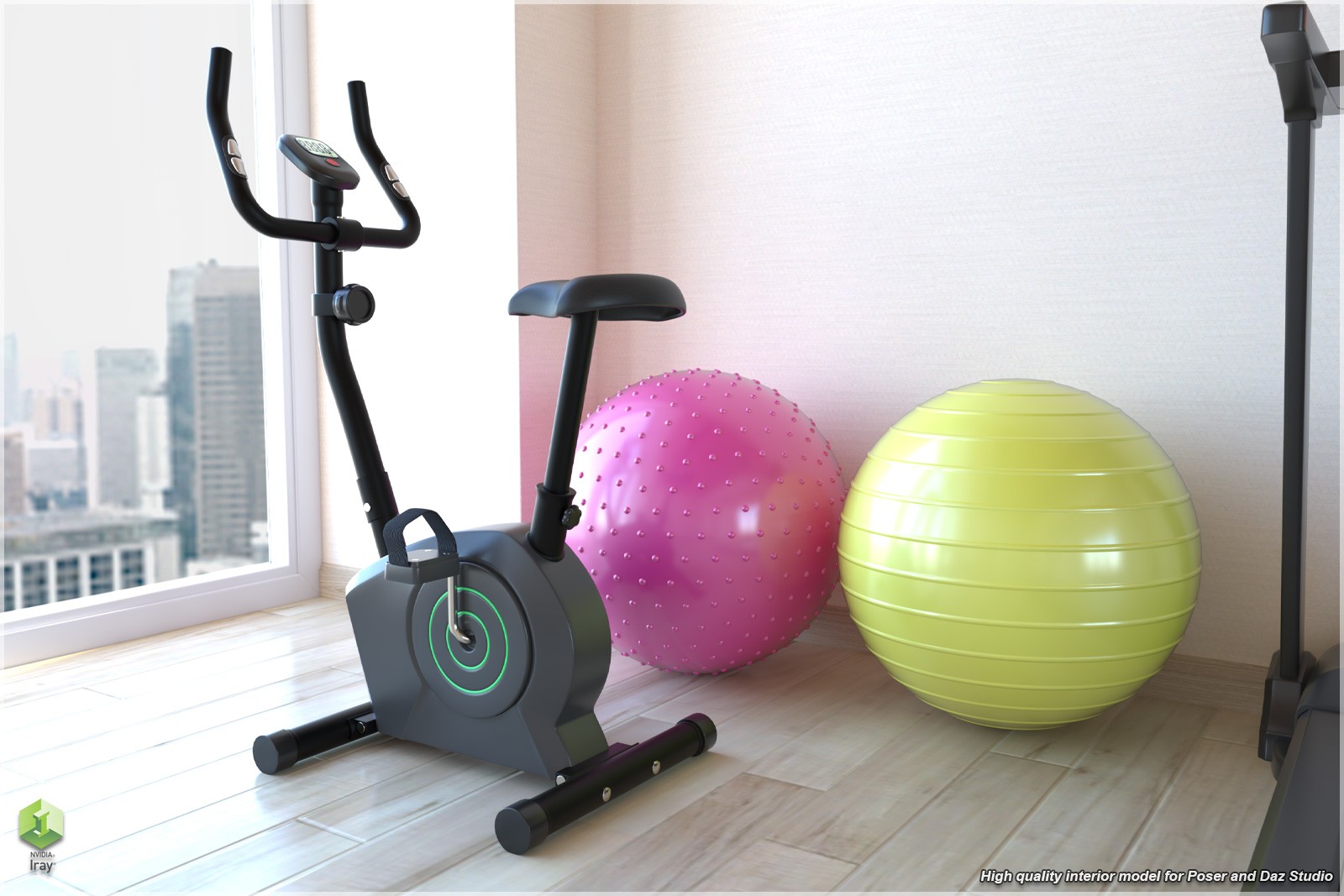 STZ Modern Fitness Room by N/A